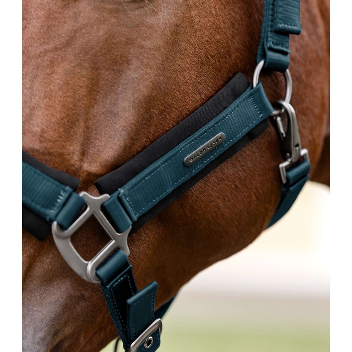 Waldhausen Halster Soft Touch Petrol Blue