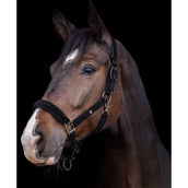 Waldhausen Halster St. Gallen Zwart