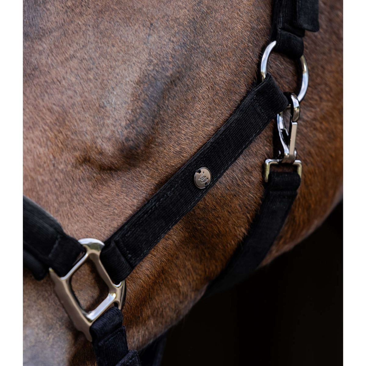 Waldhausen Halster St. Gallen Zwart