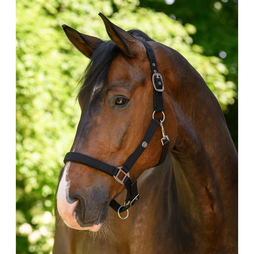 Waldhausen Halster Trinidad Zwart