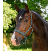 Waldhausen Halster Trinidad Pine Green