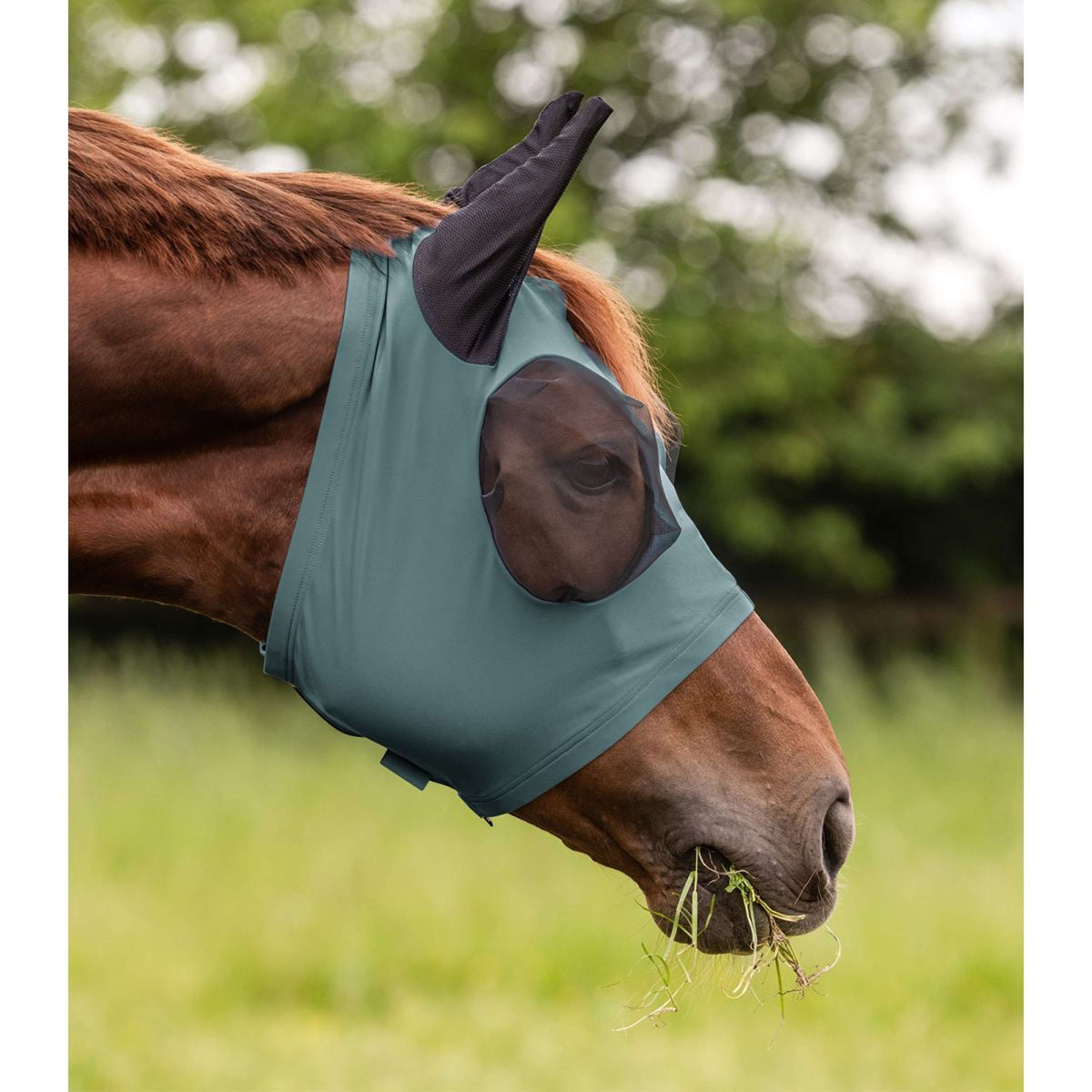 Waldhausen Vliegenmasker Puck Pine Green