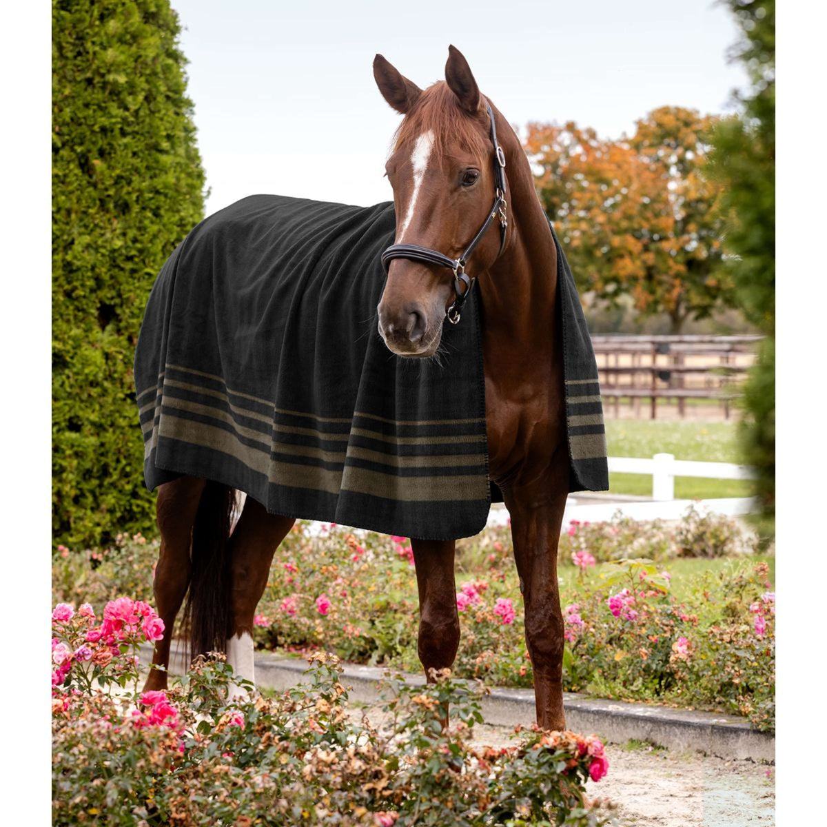 Waldhausen Zweetdeken Sölden Zwart