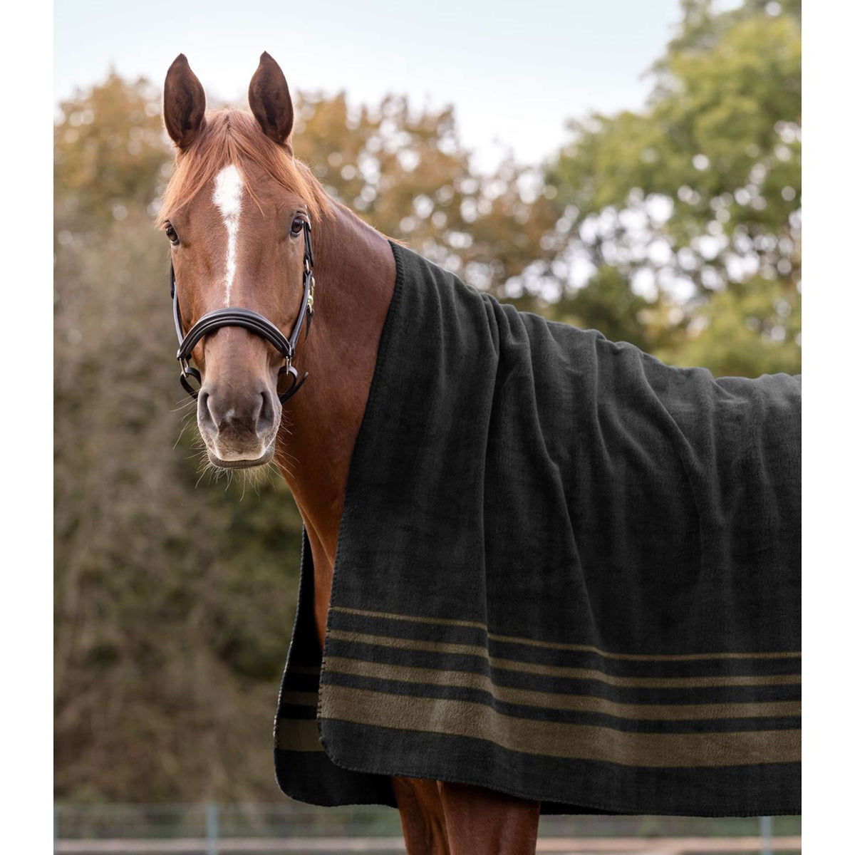 Waldhausen Zweetdeken Sölden Zwart