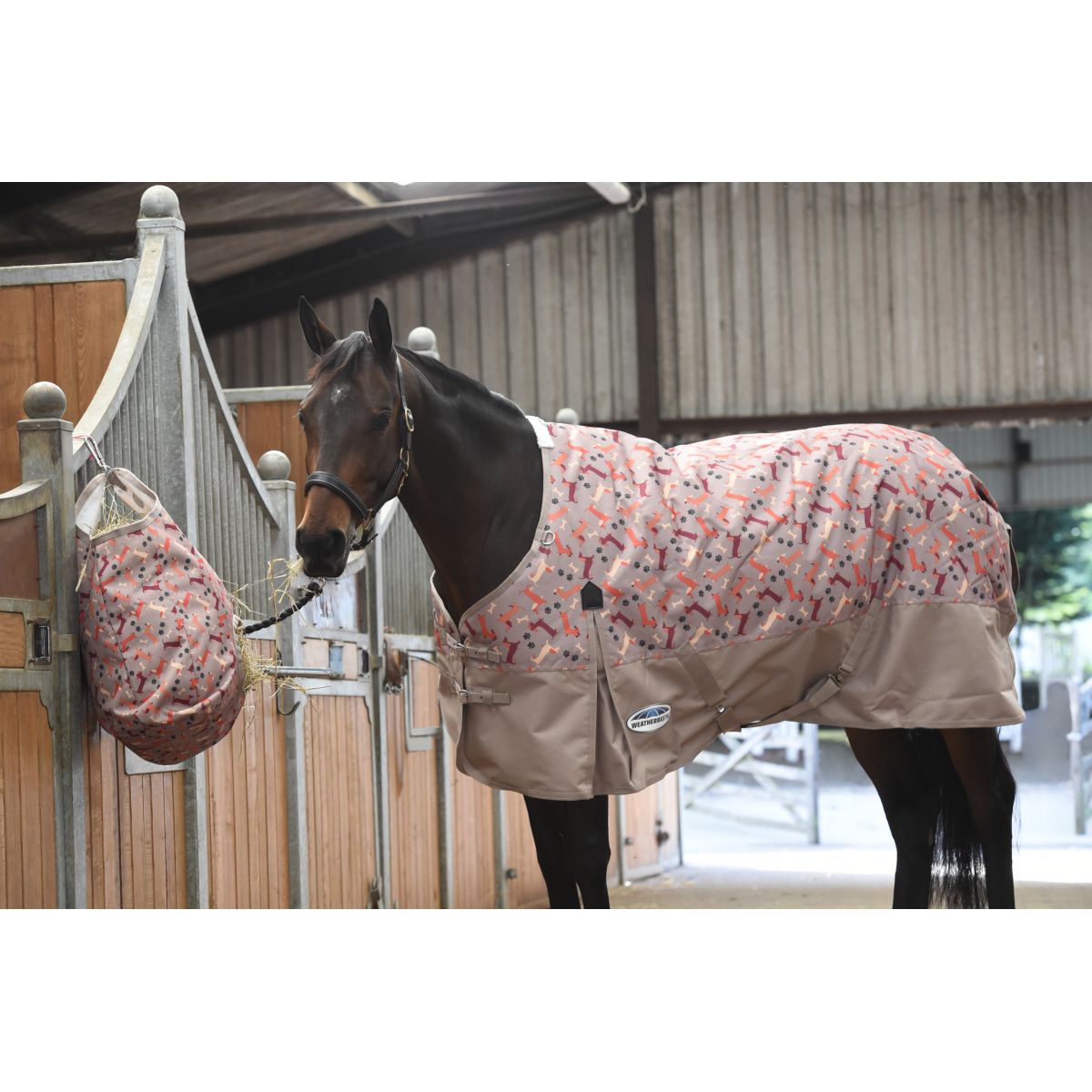 Weatherbeeta Comfitec Essential Standard Neck Lite Plus Dachshund Print