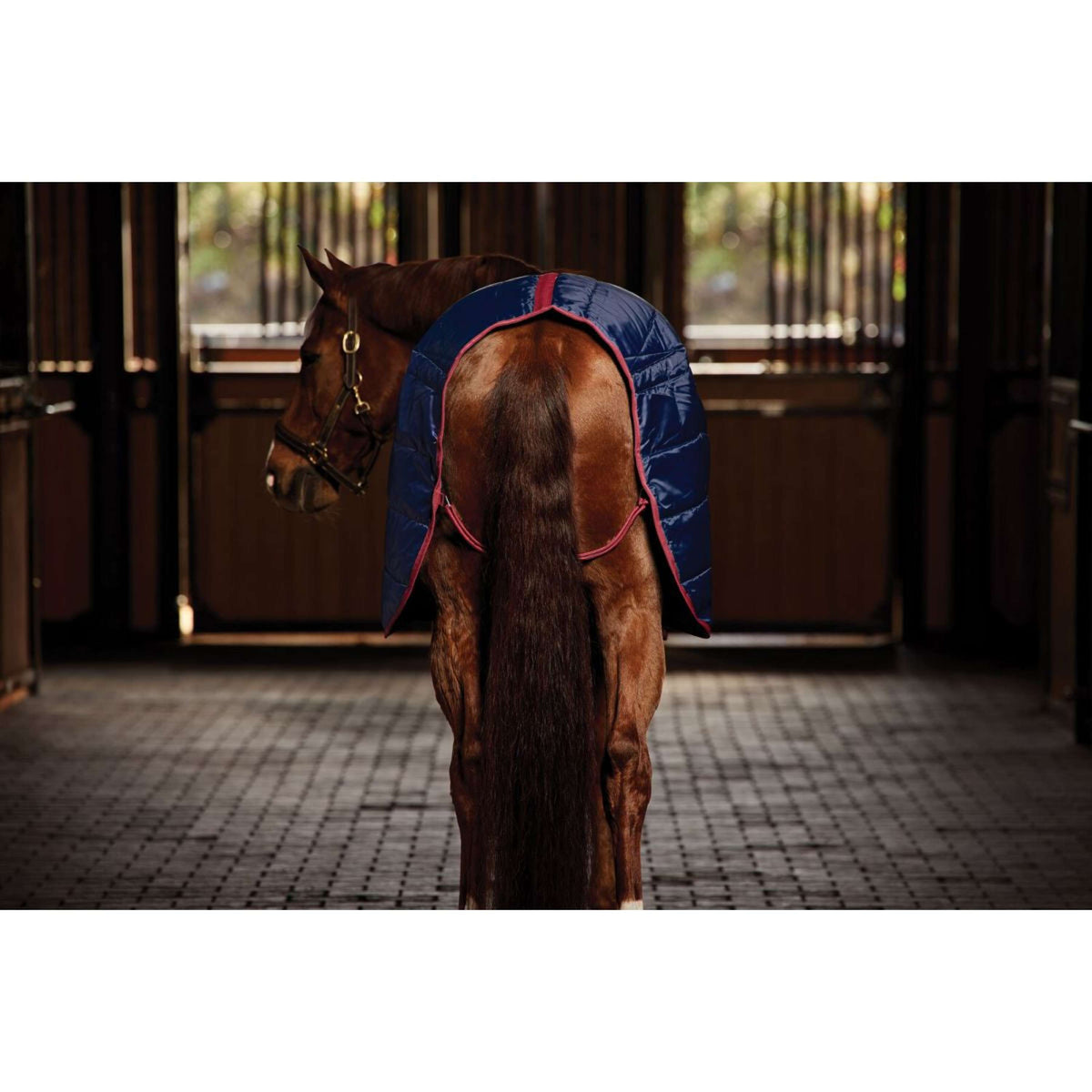 WeatherBeeta Staldeken ComFiTec 210D Channel Quilt Standard Neck 100g Navy/Burgundy