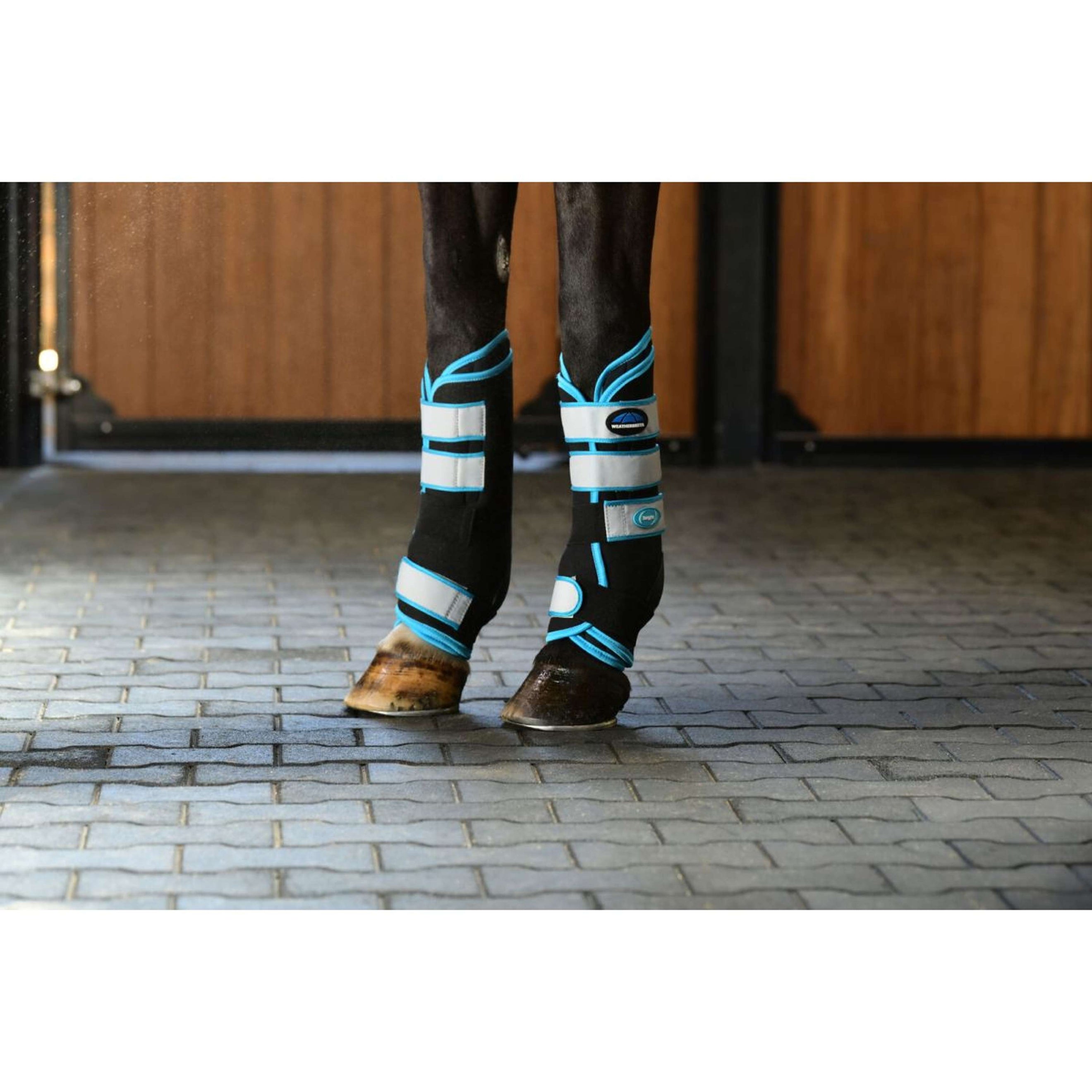 WeatherBeeta Wraps Therapy-Tec Stable Boot Zwart/Blauw WeatherBeeta Wraps Therapy-Tec Stable Boot Zwart/Blauw