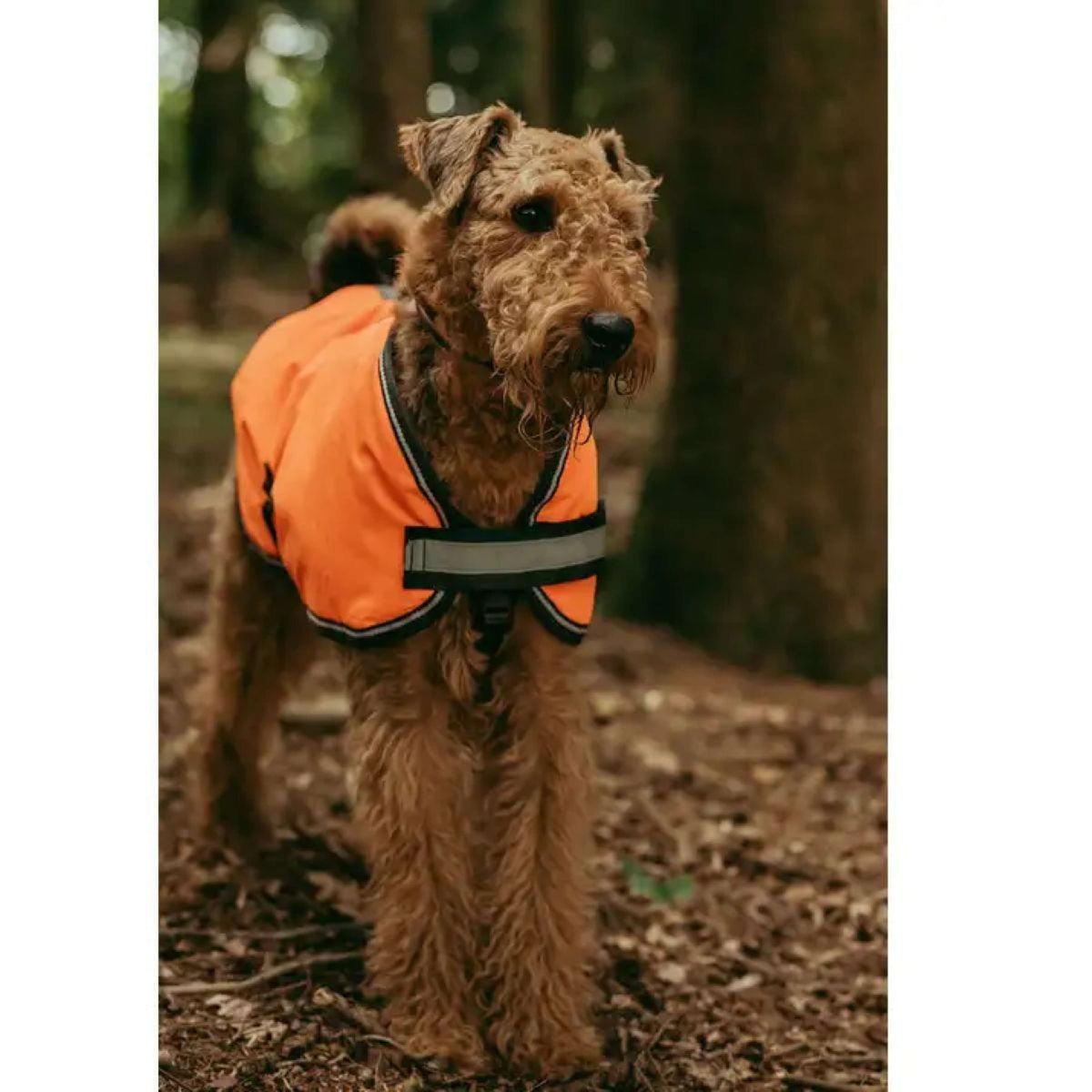 WeatherBeeta Dog Coat Reflective Parka 300D Orange
