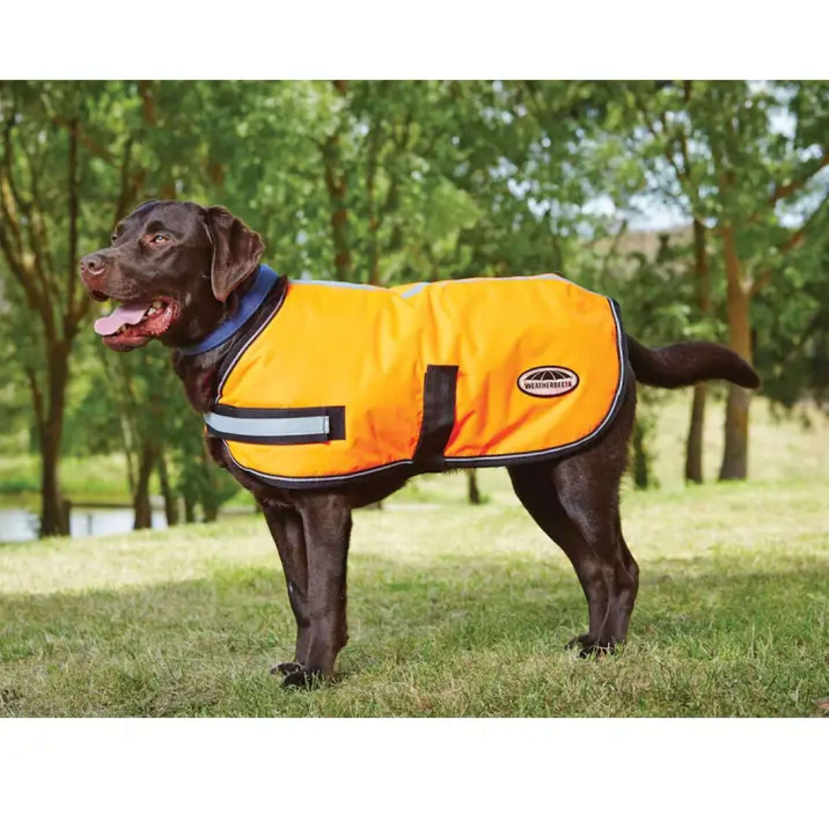 WeatherBeeta Dog Coat Reflective Parka 300D Orange