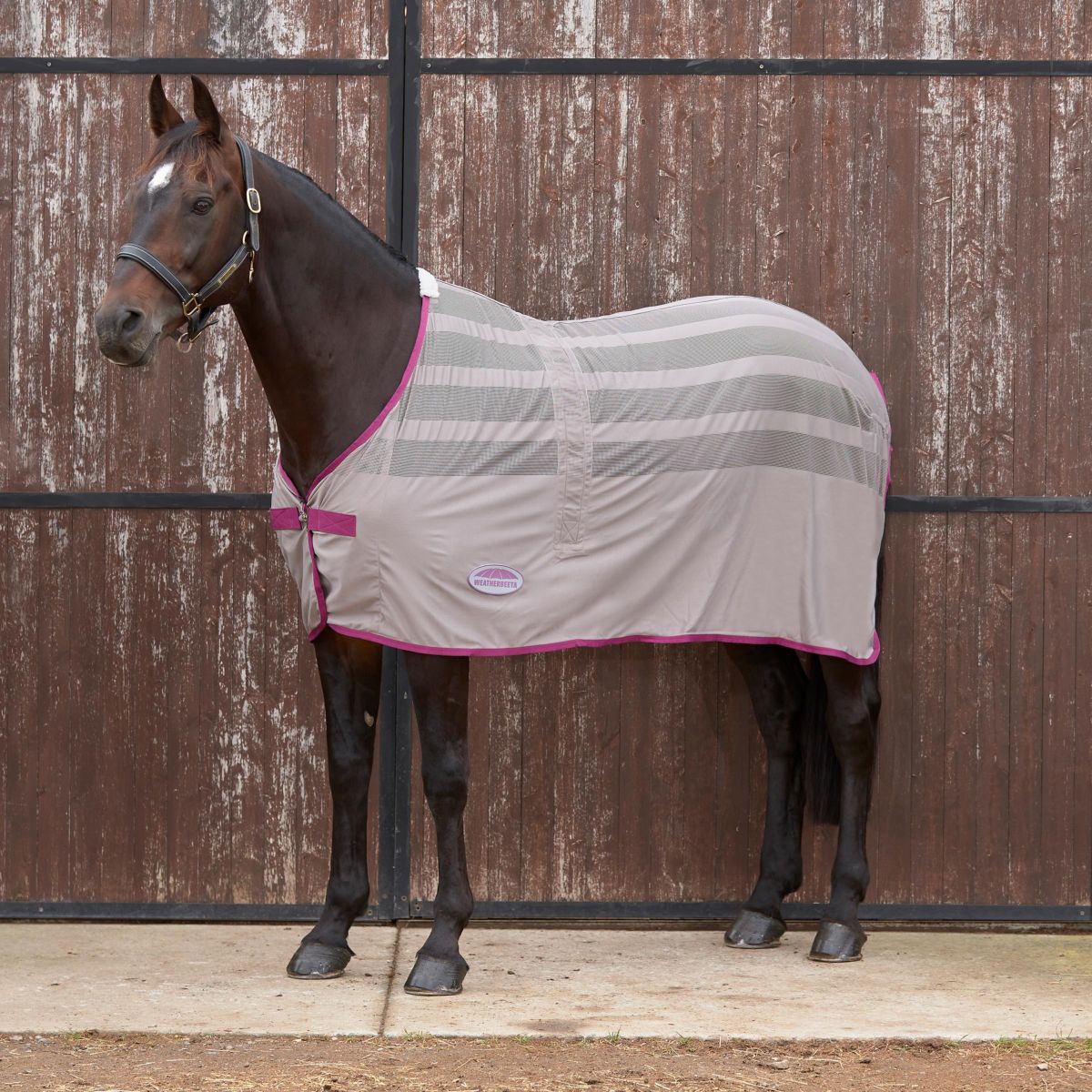 Weatherbeeta Zweetdeken Scrim Standard Neck Donkergrijs/Orchid