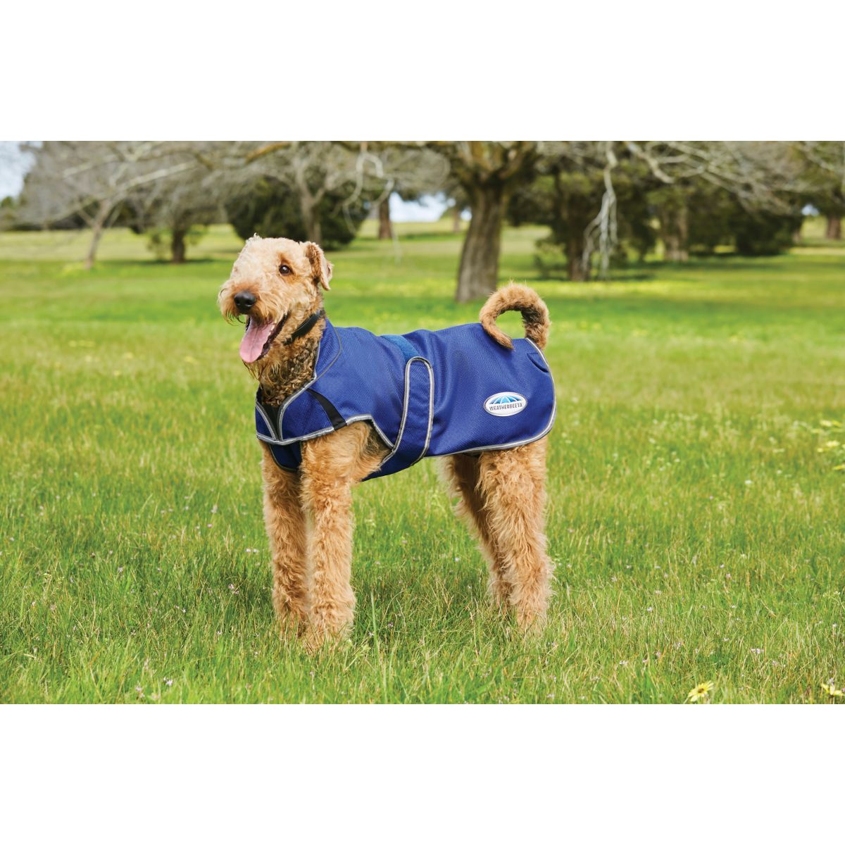 Weatherbeeta Parka Comfitec Premier Free Deluxe Dog Coat Donker Blauw/Grijs/Wit