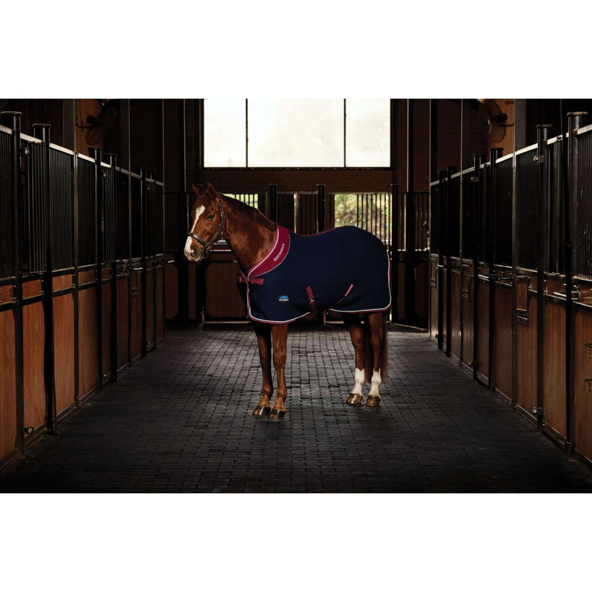 WeatherBeeta Cooler Thermocell Standard Neck Navy/Burgundy