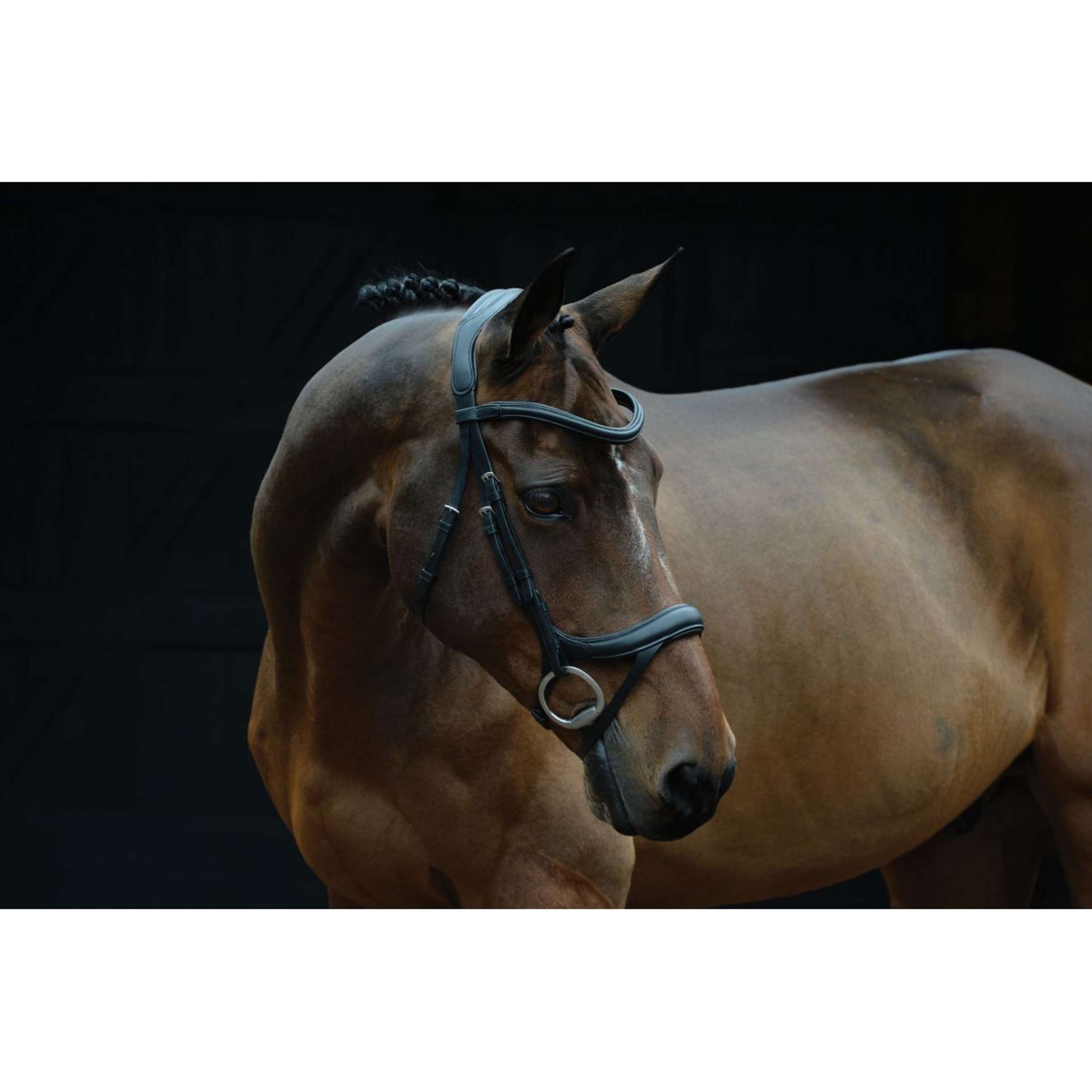 Collegiate Hoofdstel ComFiTec Vogue Anatomisch Zwart