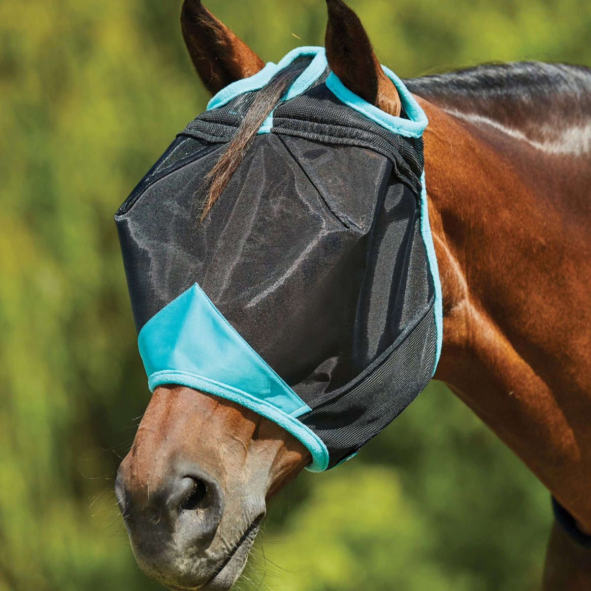 Weatherbeeta Vliegenmasker Comfitec Deluxe Fine Mesh Zwart/Turquoise