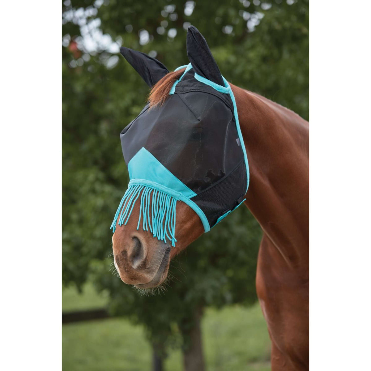 Weatherbeeta Vliegenmasker Comfitec Deluxe Fine Mesh met Oren en Franjes Zwart/Turquoise