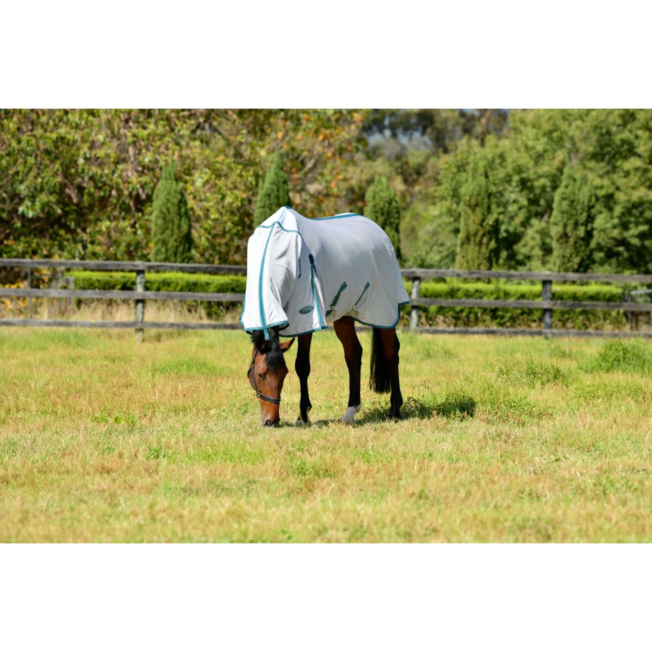 WeatherBeeta Vliegendeken ComFiTec Zephyr Plus Mesh Combo Neck Silver/Teal Green/Stone WeatherBeeta Vliegendeken ComFiTec Zephyr Plus Mesh Combo Neck Silver/Teal Green/Stone