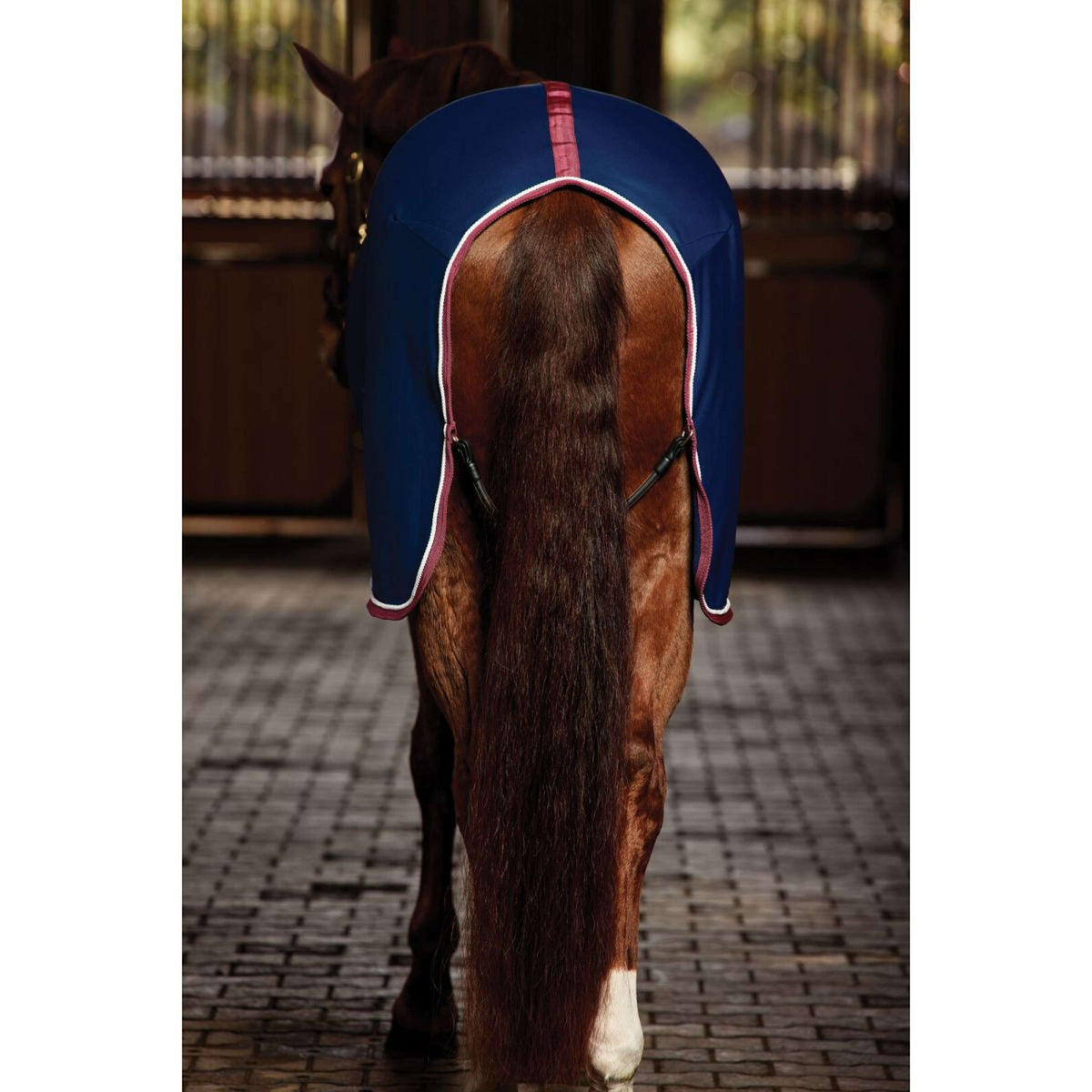 WeatherBeeta Showdeken Opulence Standard Neck Navy/Burgundy