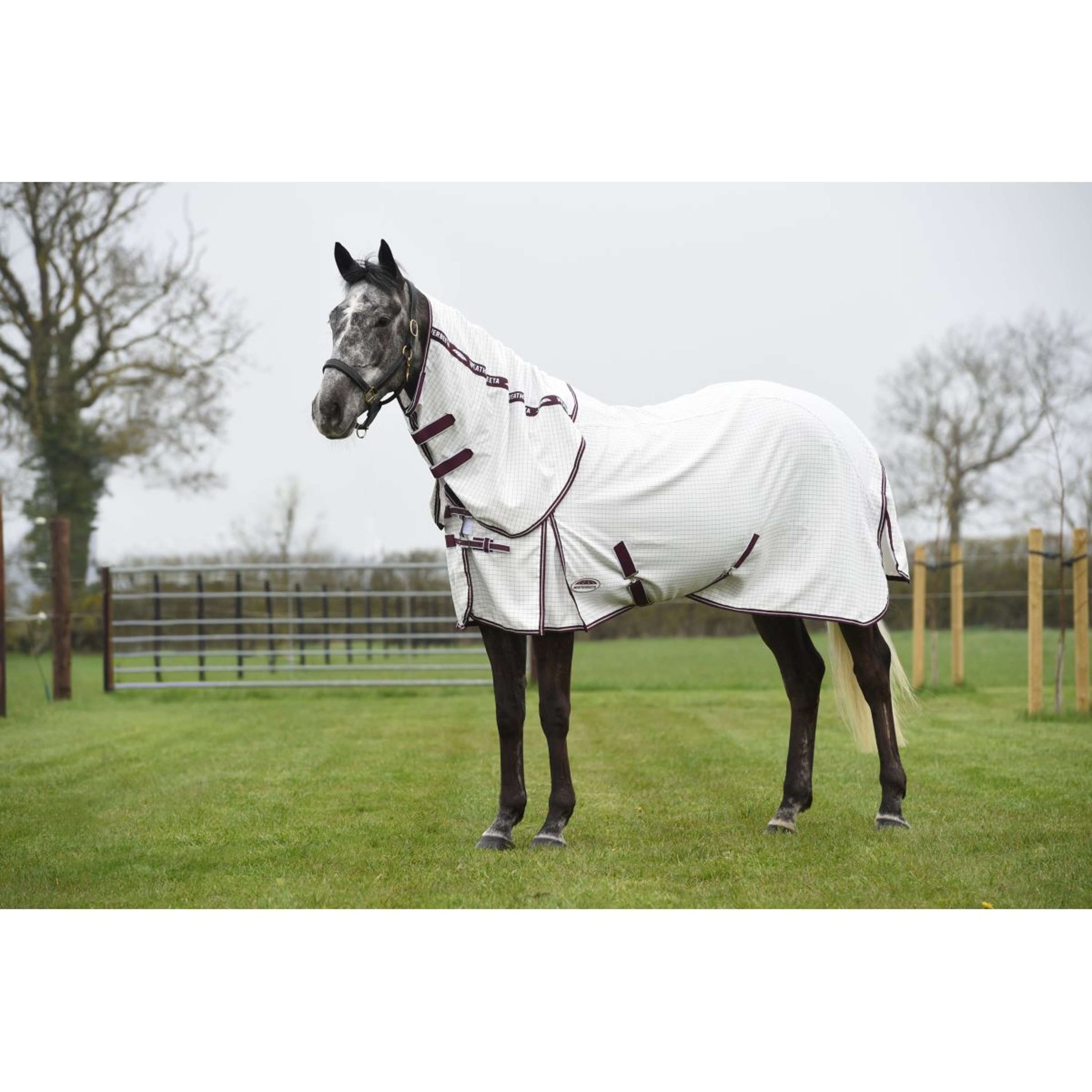 WeatherBeeta Zomerdeken Hybrid Seasons Combo Neck White/Maroon