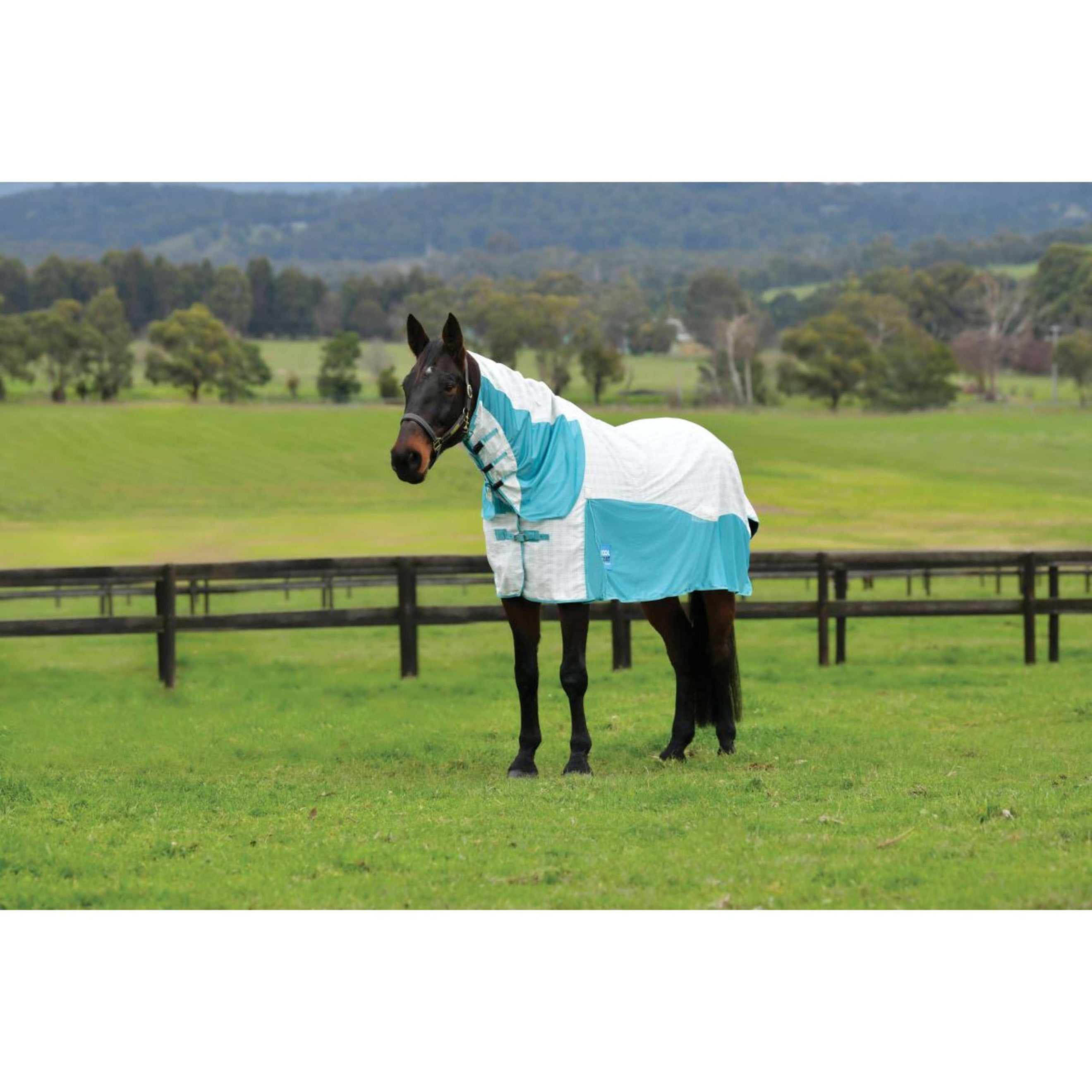 WeatherBeeta Cooler Cotton Airstream II Detach-A-Neck White/Mint