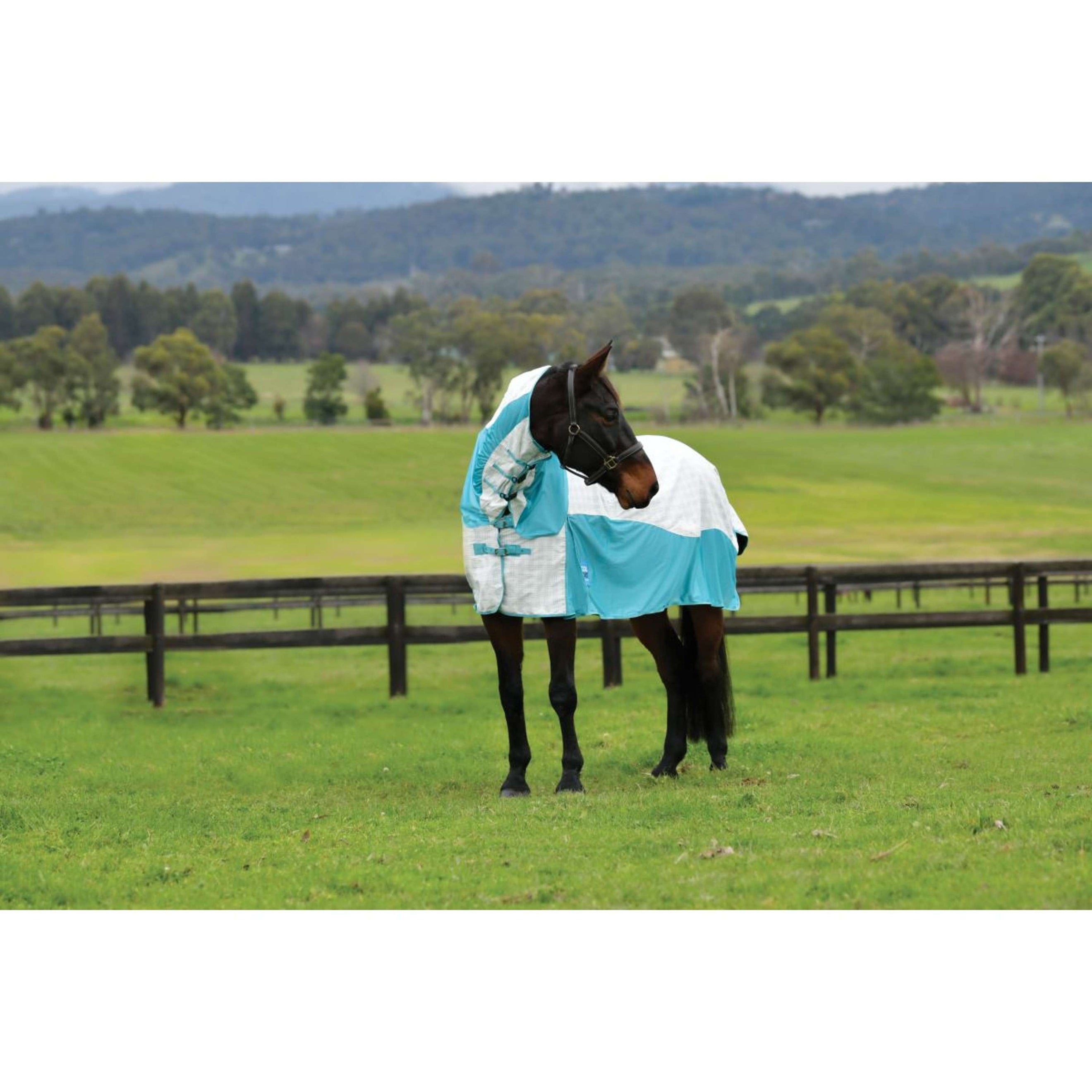 WeatherBeeta Cooler Cotton Airstream II Detach-A-Neck White/Mint