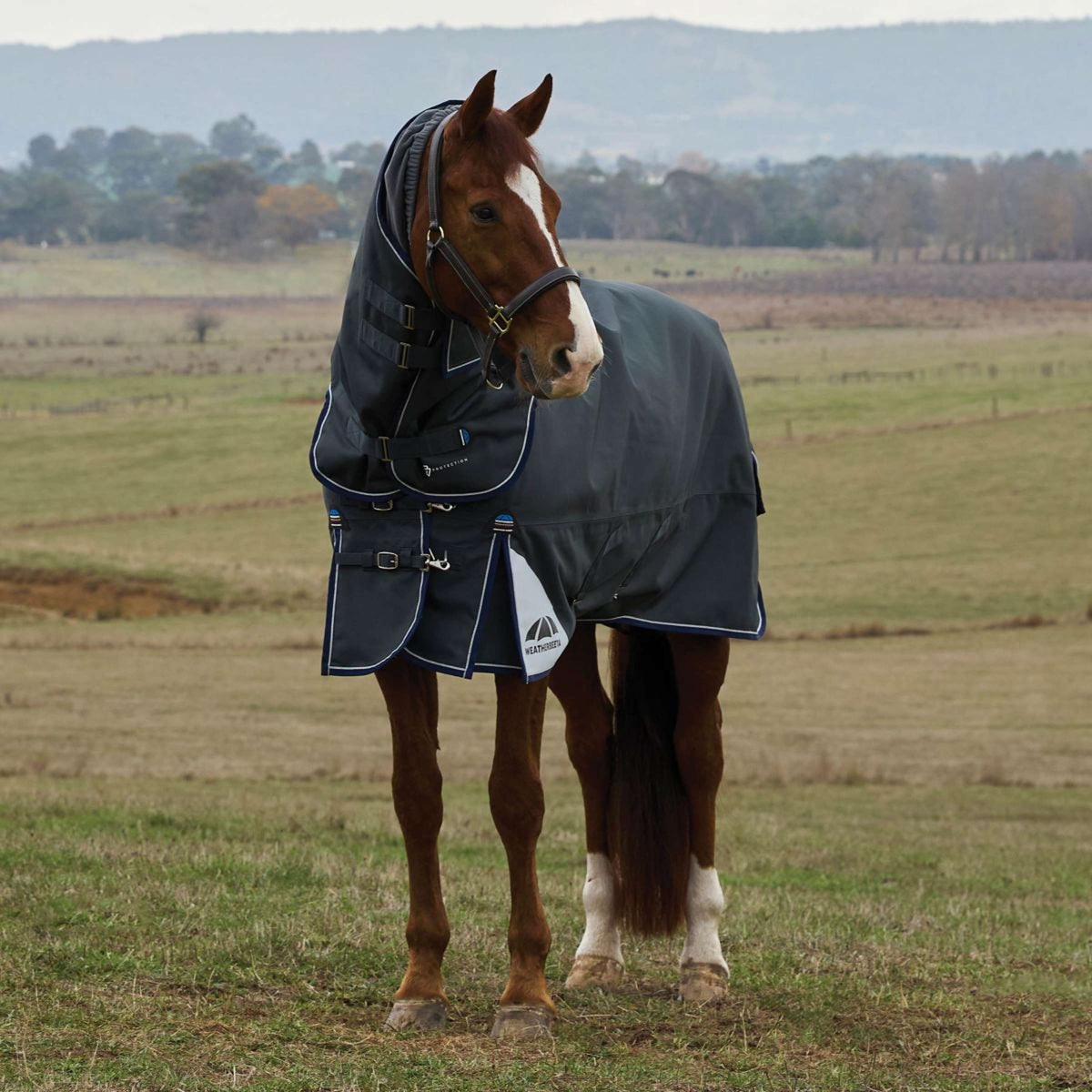 WeatherBeeta ComFiTec Ultra Turnout Detach-A-Neck 360g Charcoal