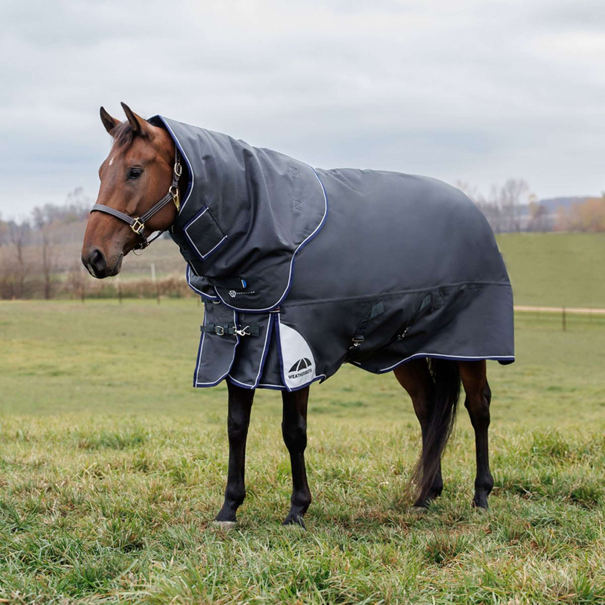 WeatherBeeta ComFiTec Ultra Turnout Detach-A-Neck 360g Charcoal