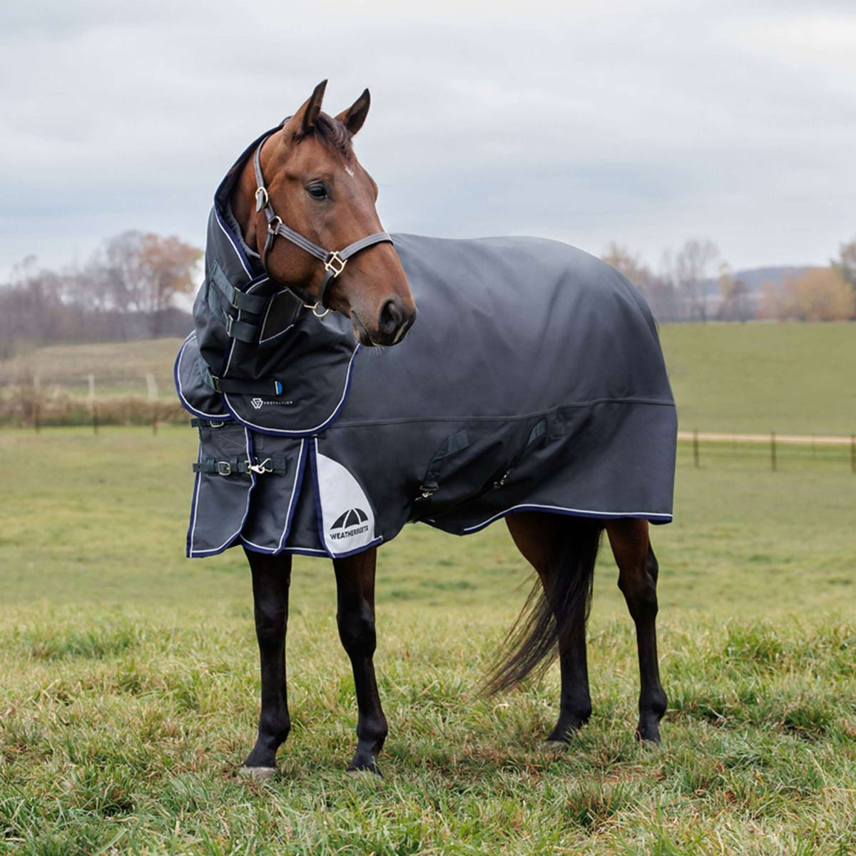WeatherBeeta ComFiTec Ultra Turnout Detach-A-Neck 360g Charcoal