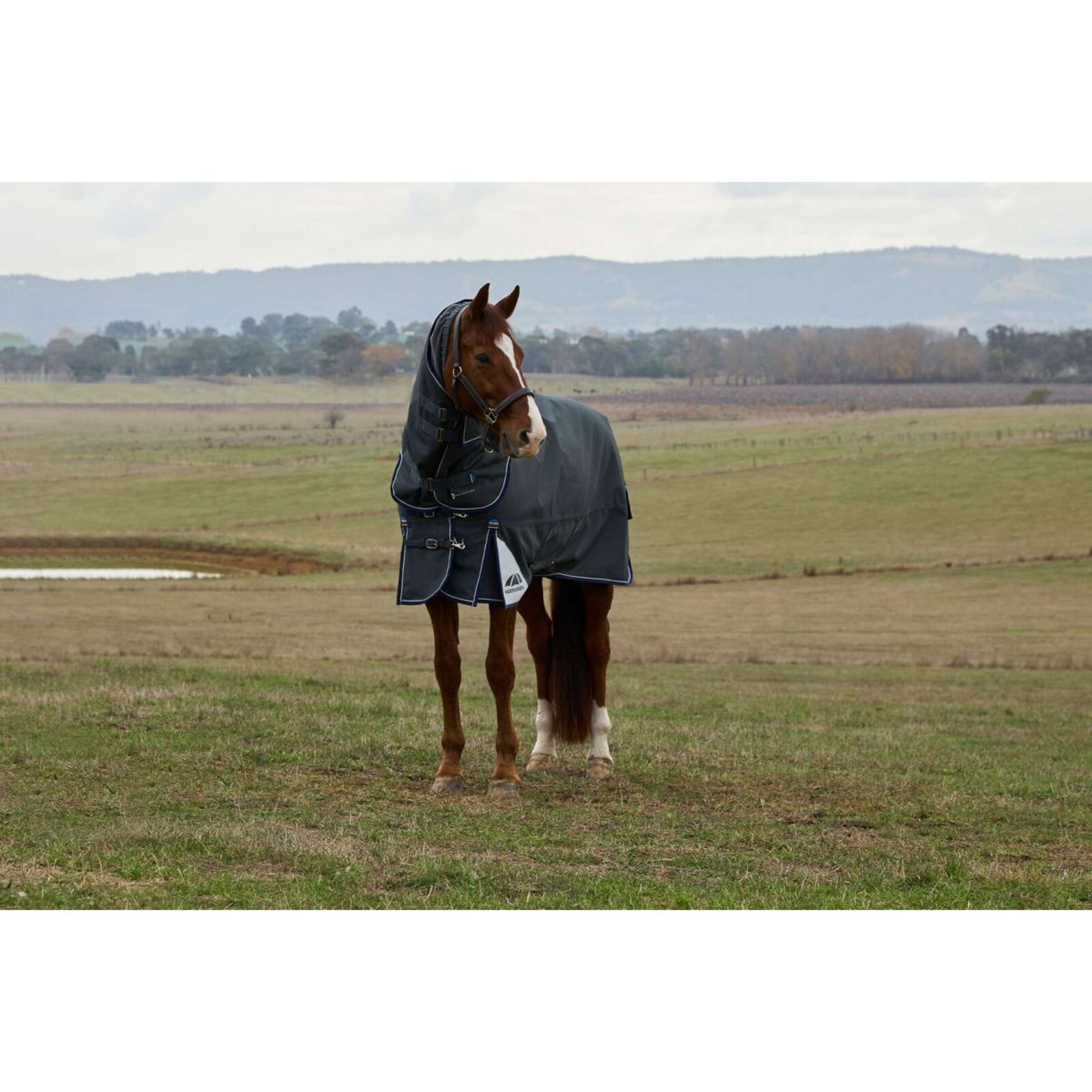 WeatherBeeta ComFiTec Ultra Turnout Detach-A-Neck 220g Charcoal WeatherBeeta ComFiTec Ultra Turnout Detach-A-Neck 220g Charcoal