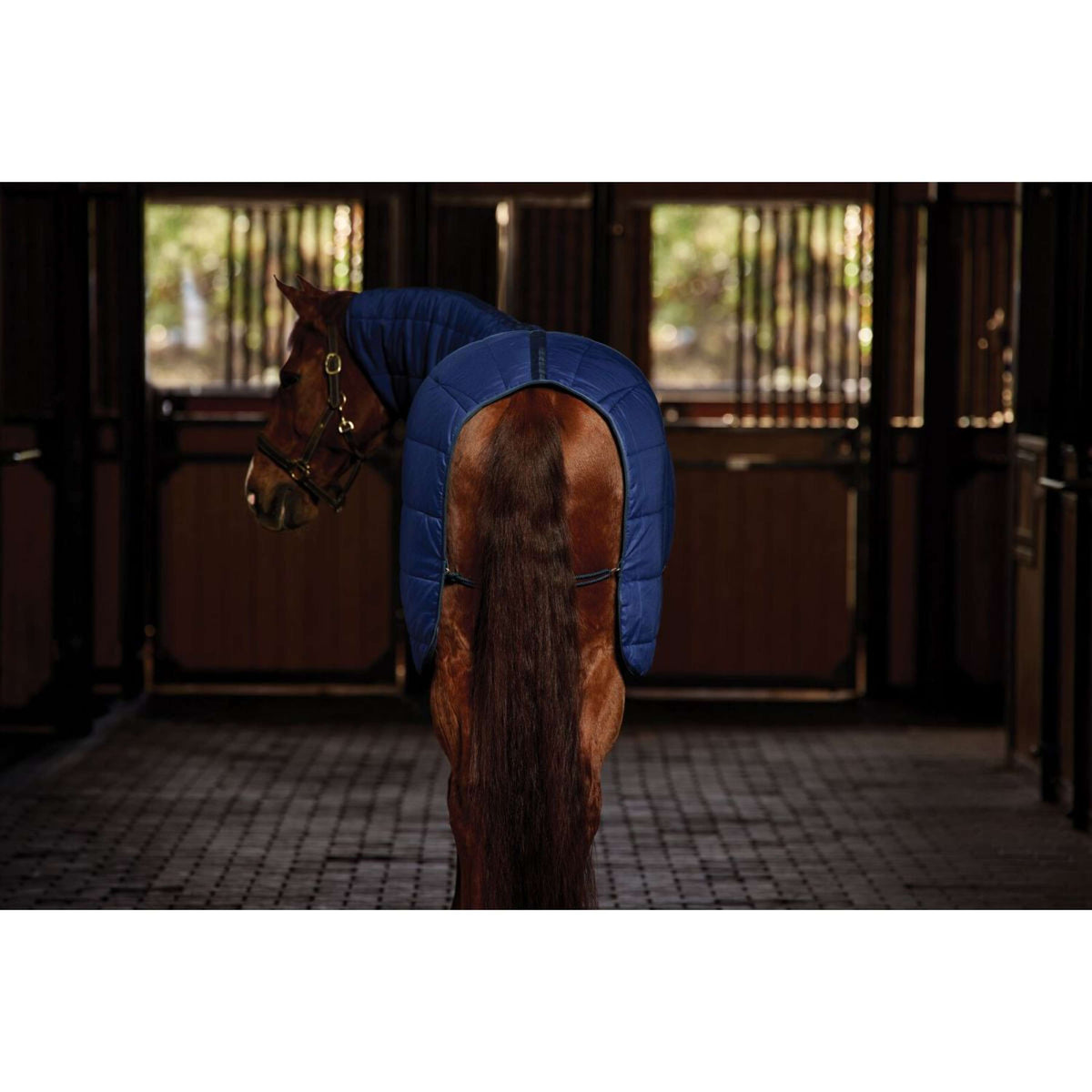 WeatherBeeta Onderdeken ComFiTec Combo Neck 220g Navy