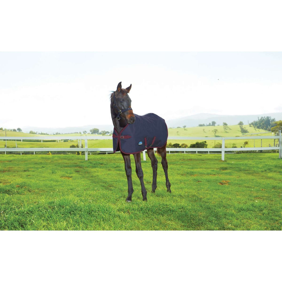 WeatherBeeta Veulendeken 1200D Standard Neck 220g Navy/Burgundy