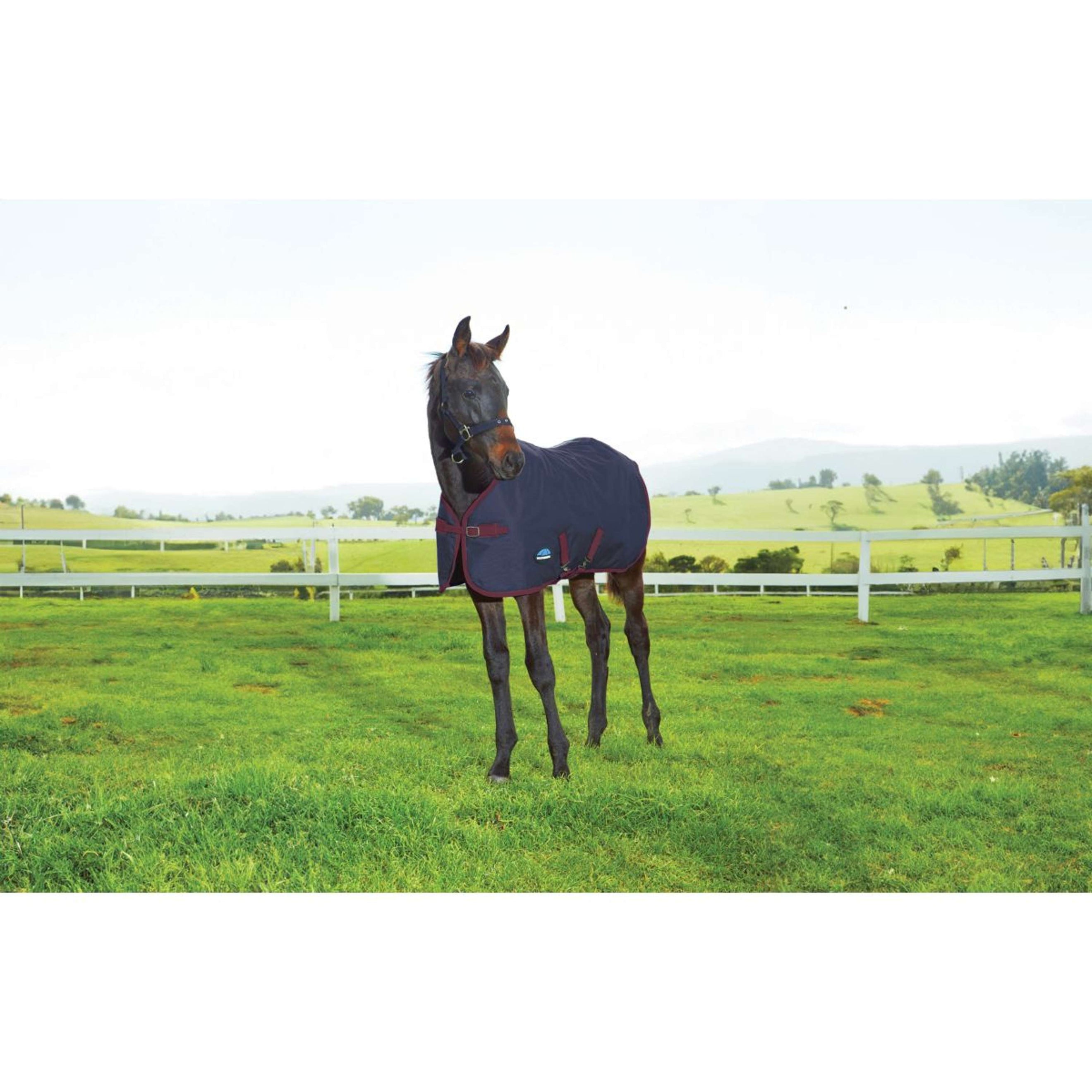 WeatherBeeta Veulendeken 1200D Standard Neck 220g Navy/Burgundy