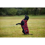 WeatherBeeta Hondendeken ComFiTec Premier Deluxe Waterproof Burgundy/Navy