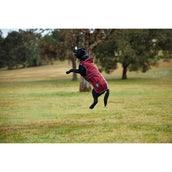 WeatherBeeta Hondendeken ComFiTec Premier Deluxe Waterproof Burgundy/Navy