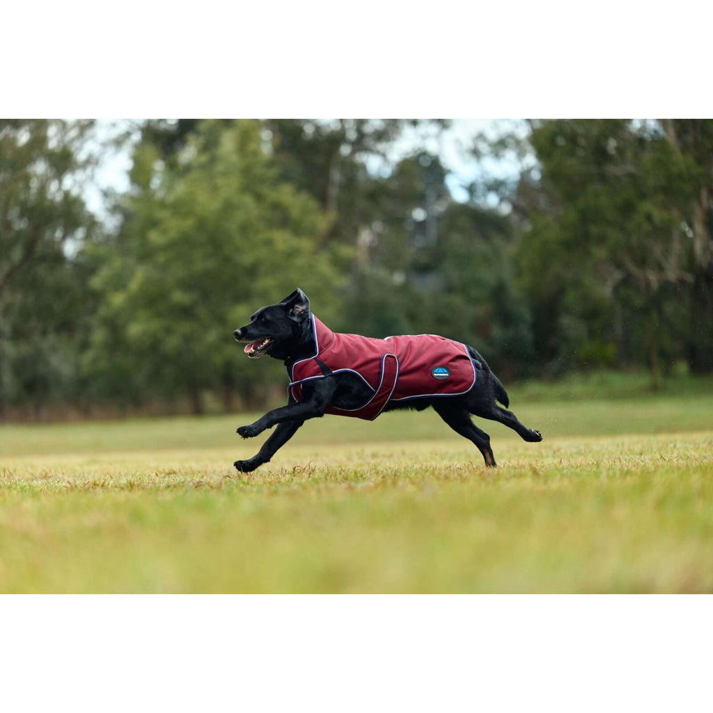WeatherBeeta Hondendeken ComFiTec Premier Deluxe Waterproof Burgundy/Navy