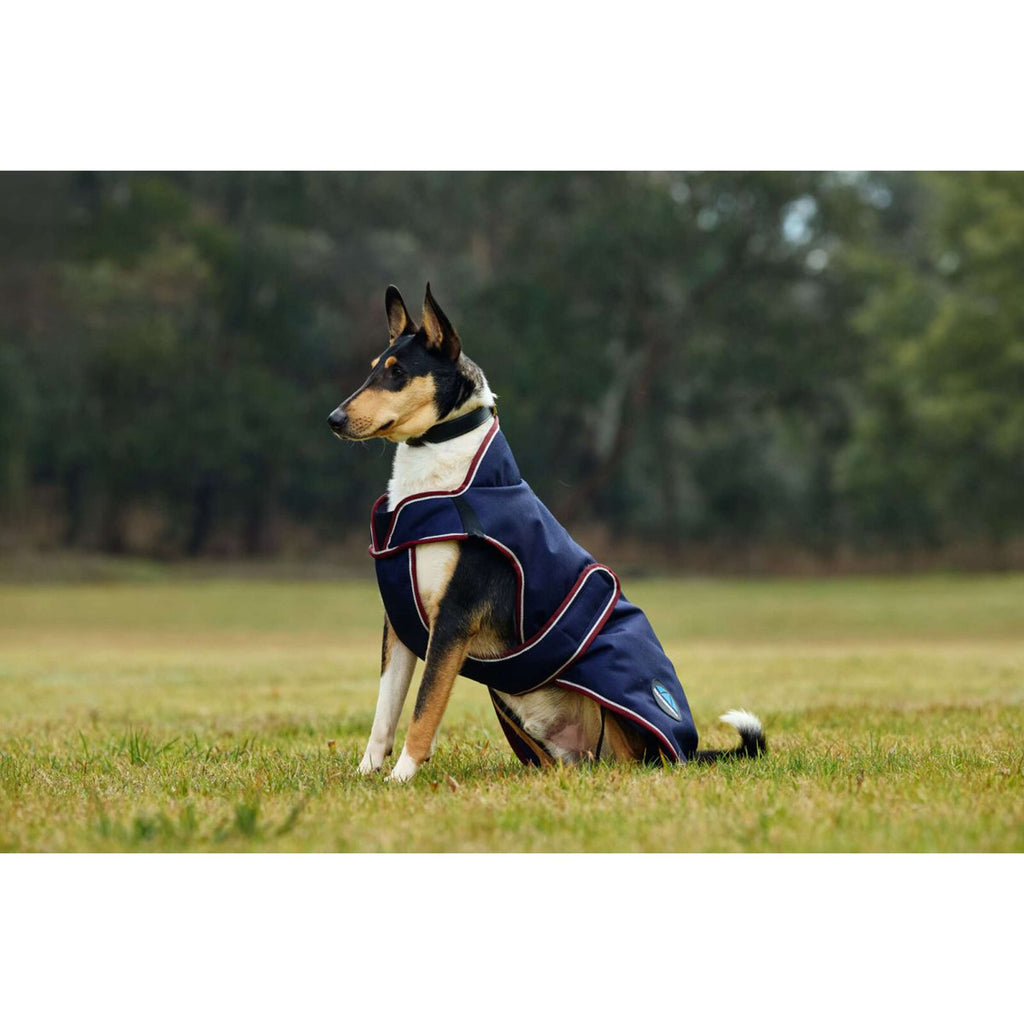 WeatherBeeta Hondendeken ComFiTec Premier Deluxe Waterproof Navy/Burgundy