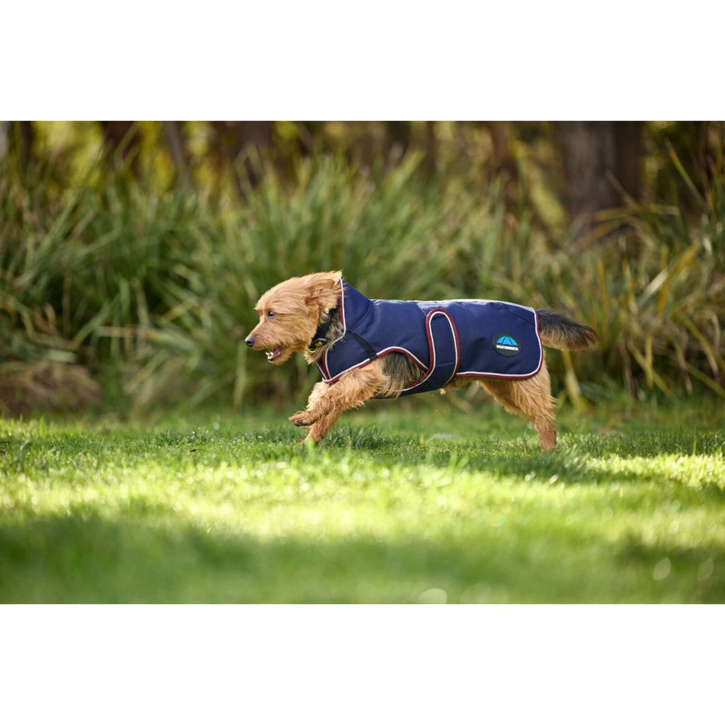 WeatherBeeta Hondendeken ComFiTec Premier Deluxe Waterproof Navy/Burgundy