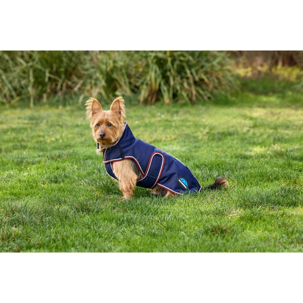 WeatherBeeta Hondendeken ComFiTec Premier Deluxe Waterproof Navy/Burgundy