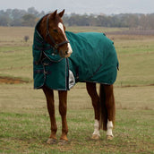 WeatherBeeta ComFiTec Plus Dynamic Turnout Detach-A-Neck 360g Forest Green/Navy