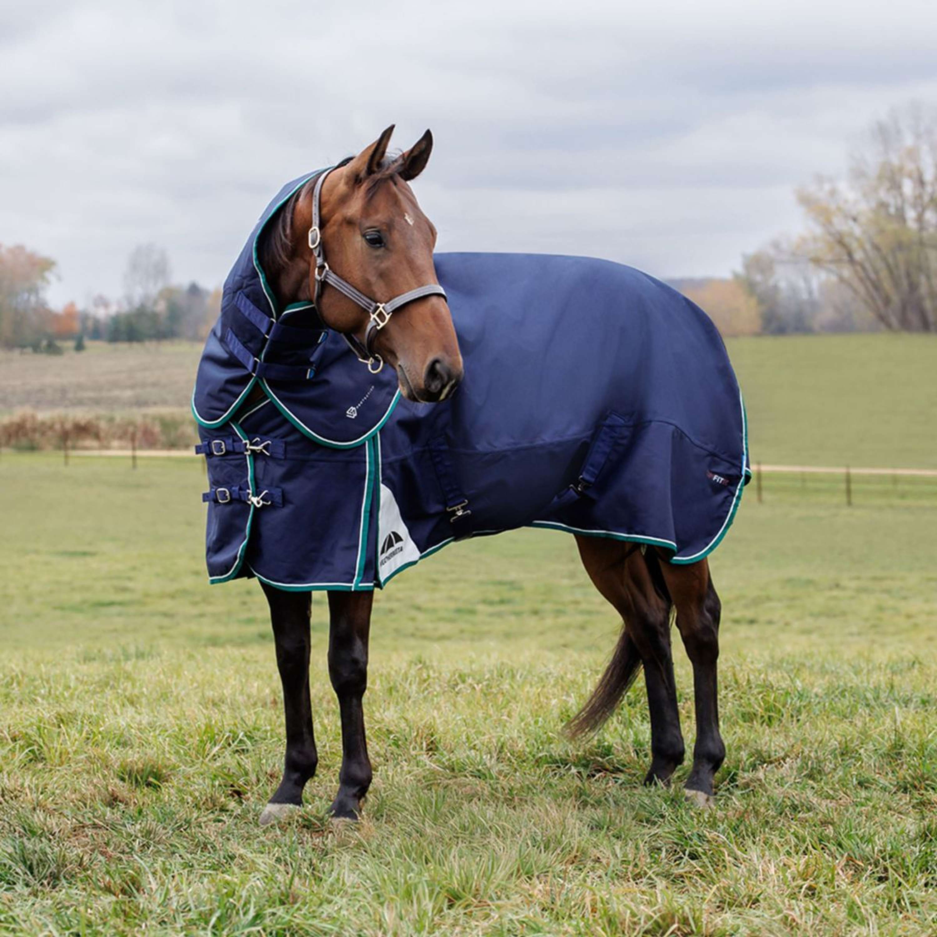 WeatherBeeta ComFiTec Plus Dynamic Turnout Detach-A-Neck 360g Navy/Forest Green