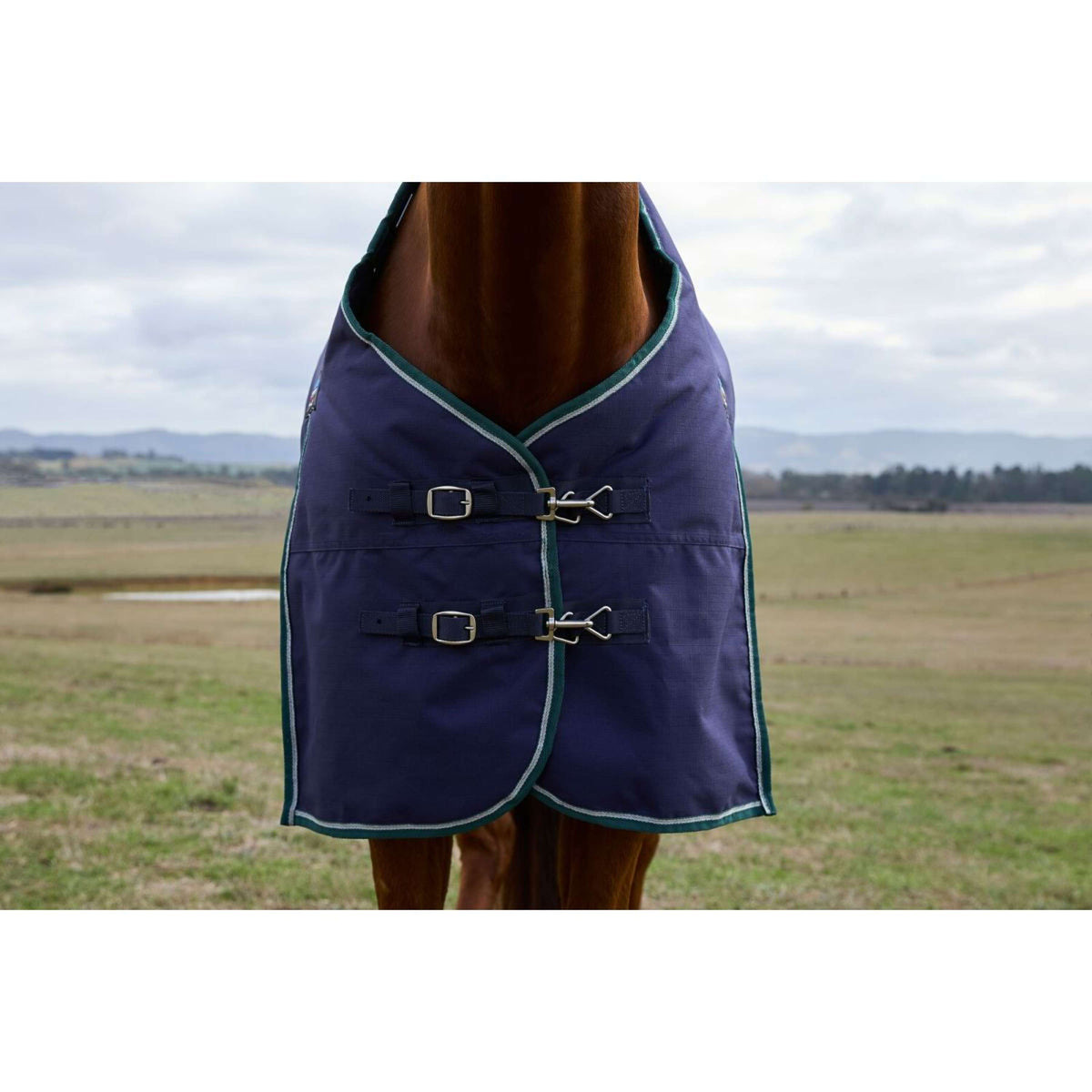 WeatherBeeta ComFiTec Plus Dynamic Turnout 220g Navy/Forest Green
