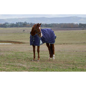 WeatherBeeta ComFiTec Plus Dynamic Turnout 100g Navy/Forest Green