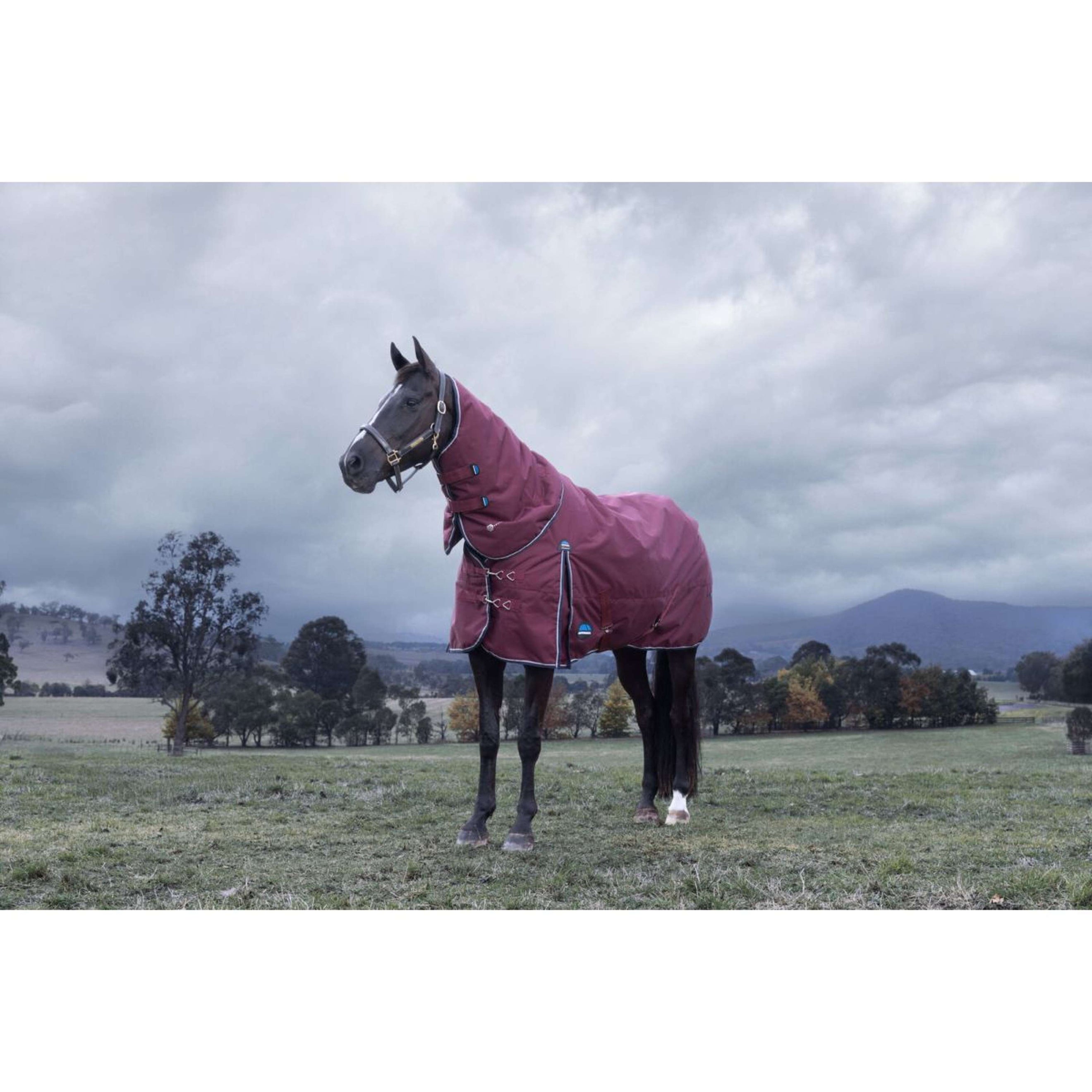 WeatherBeeta ComFiTec Essential Turnout Detach-A-Neck 220g Burgundy/Navy WeatherBeeta ComFiTec Essential Turnout Detach-A-Neck 220g Burgundy/Navy