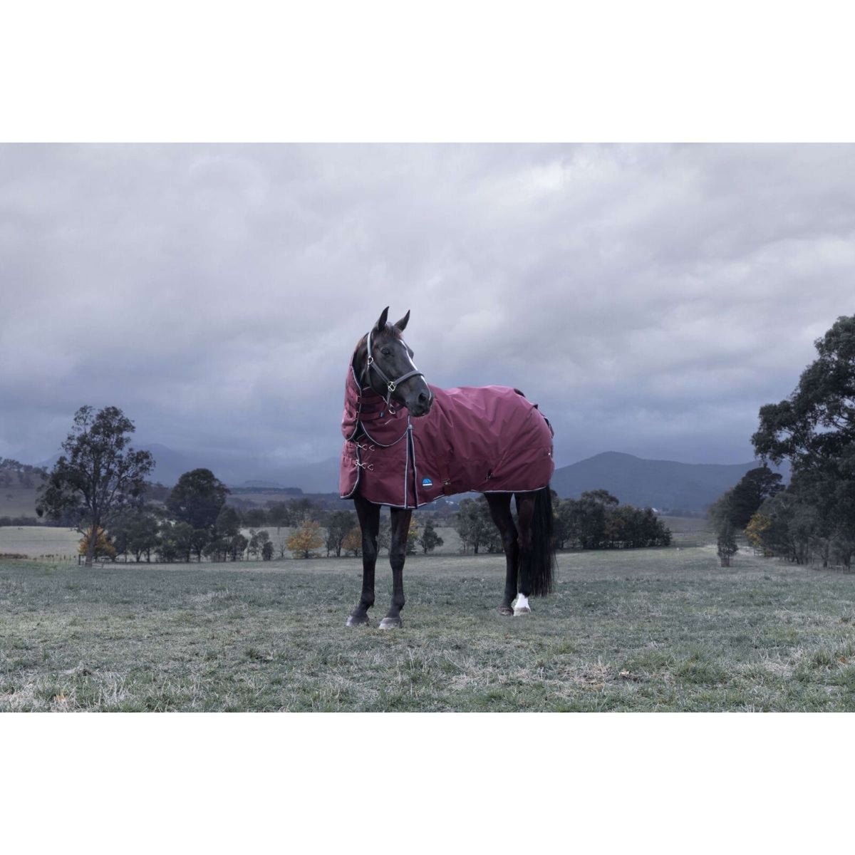 WeatherBeeta ComFiTec Essential Turnout Detach-A-Neck 220g Burgundy/Navy