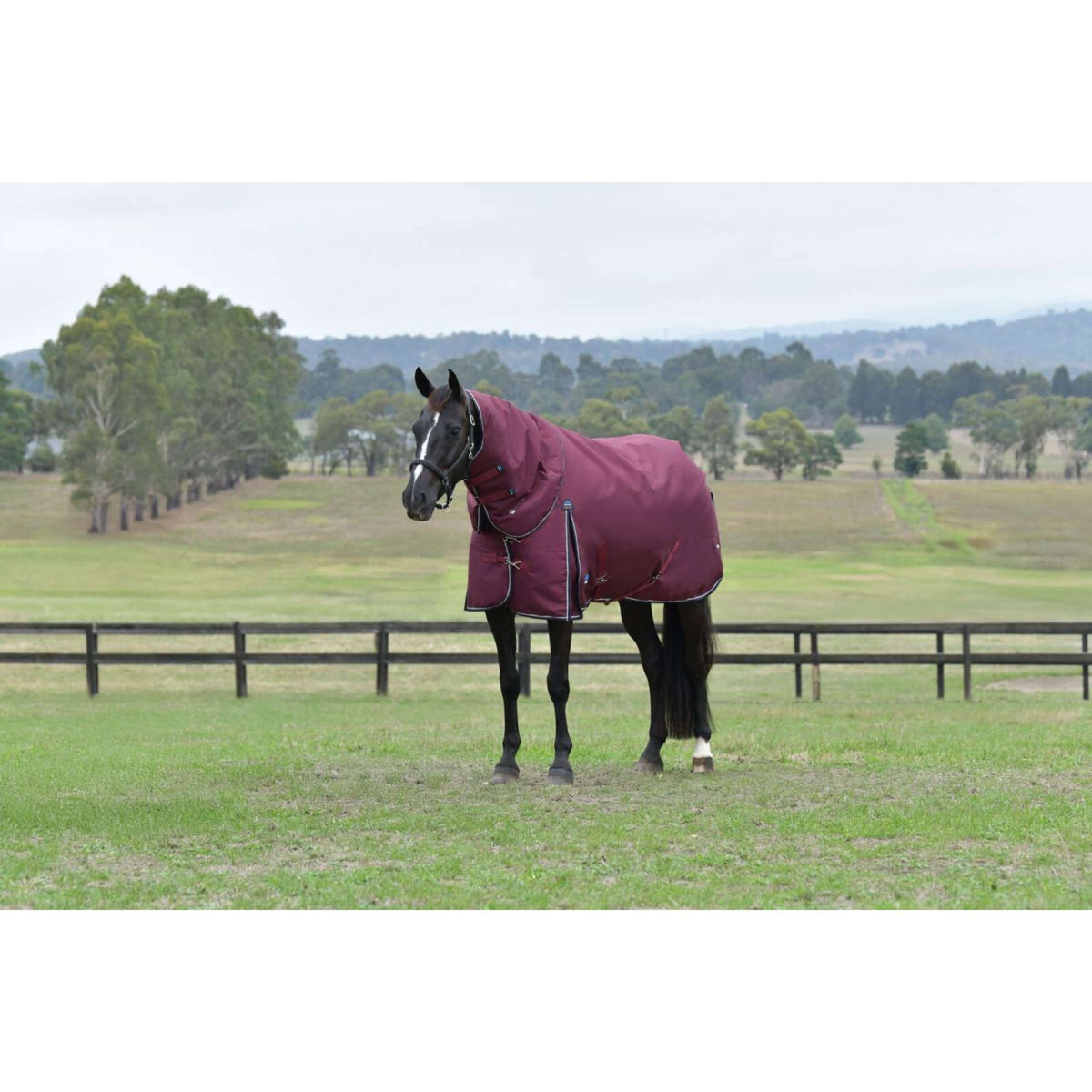 WeatherBeeta ComFiTec Essential Turnout Detach-A-Neck 220g Burgundy/Navy