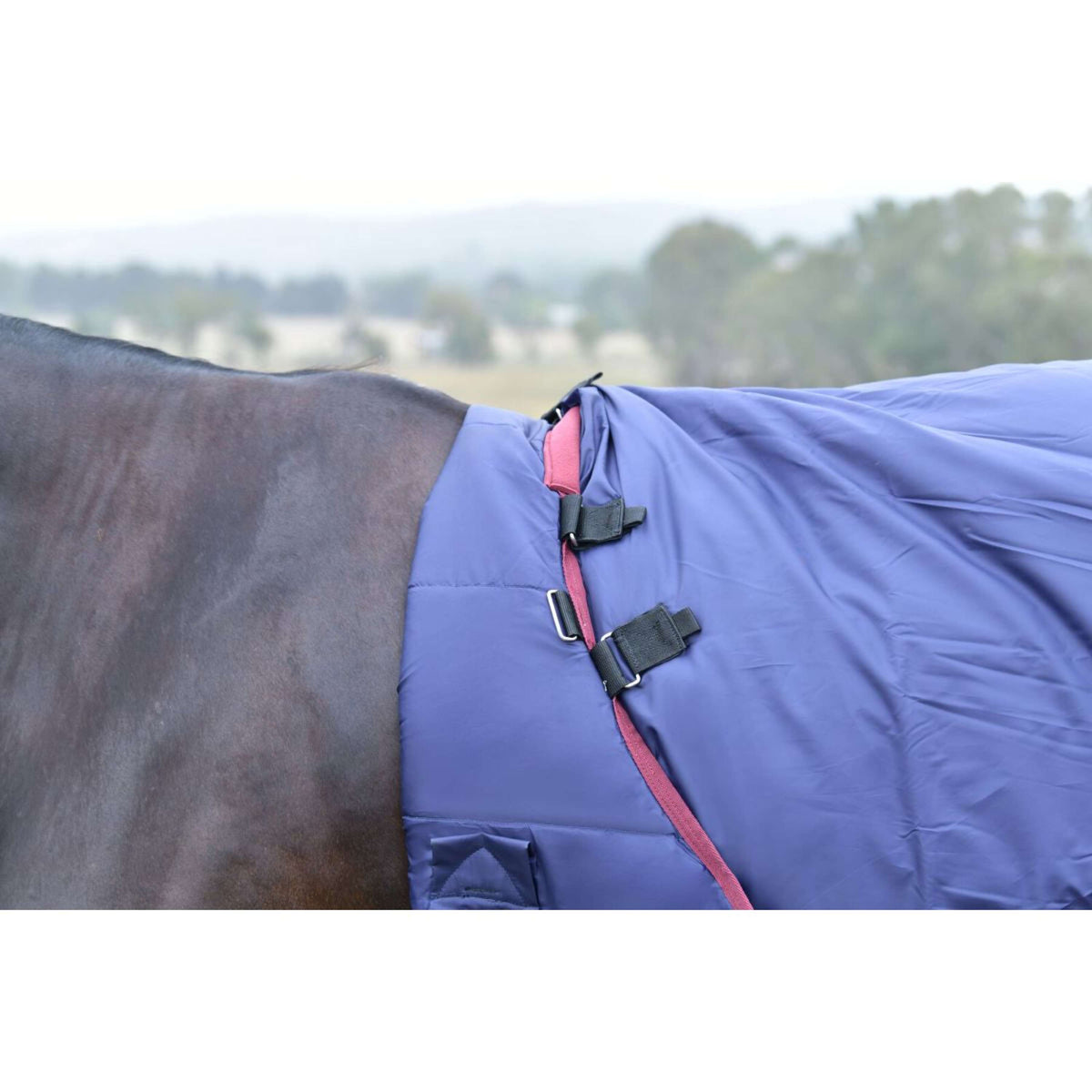 WeatherBeeta ComFiTec Essential Turnout Detach-A-Neck 220g Navy/Burgundy