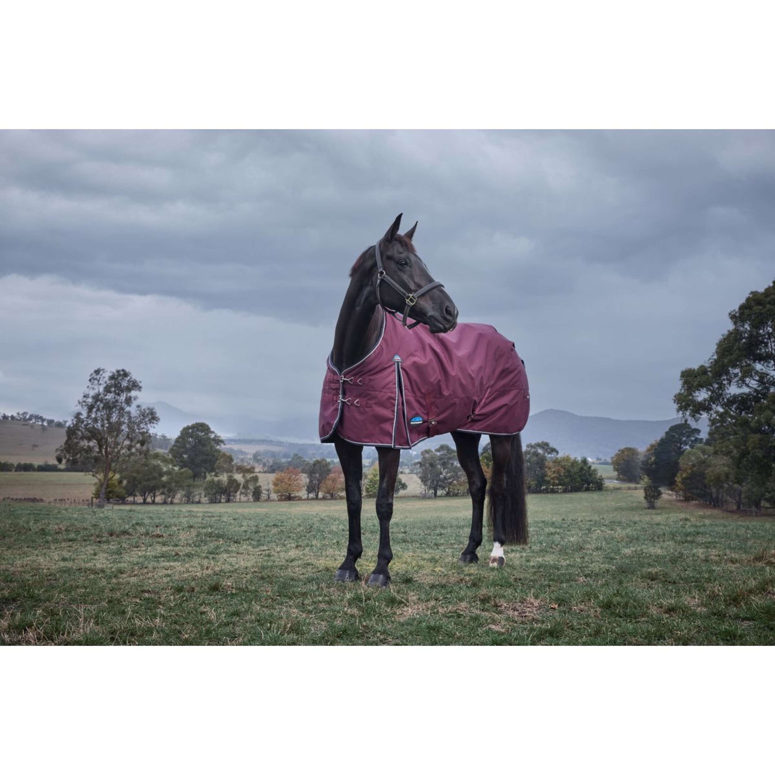 WeatherBeeta ComFiTec Essential Turnout 220g Burgundy/Navy WeatherBeeta ComFiTec Essential Turnout 220g Burgundy/Navy