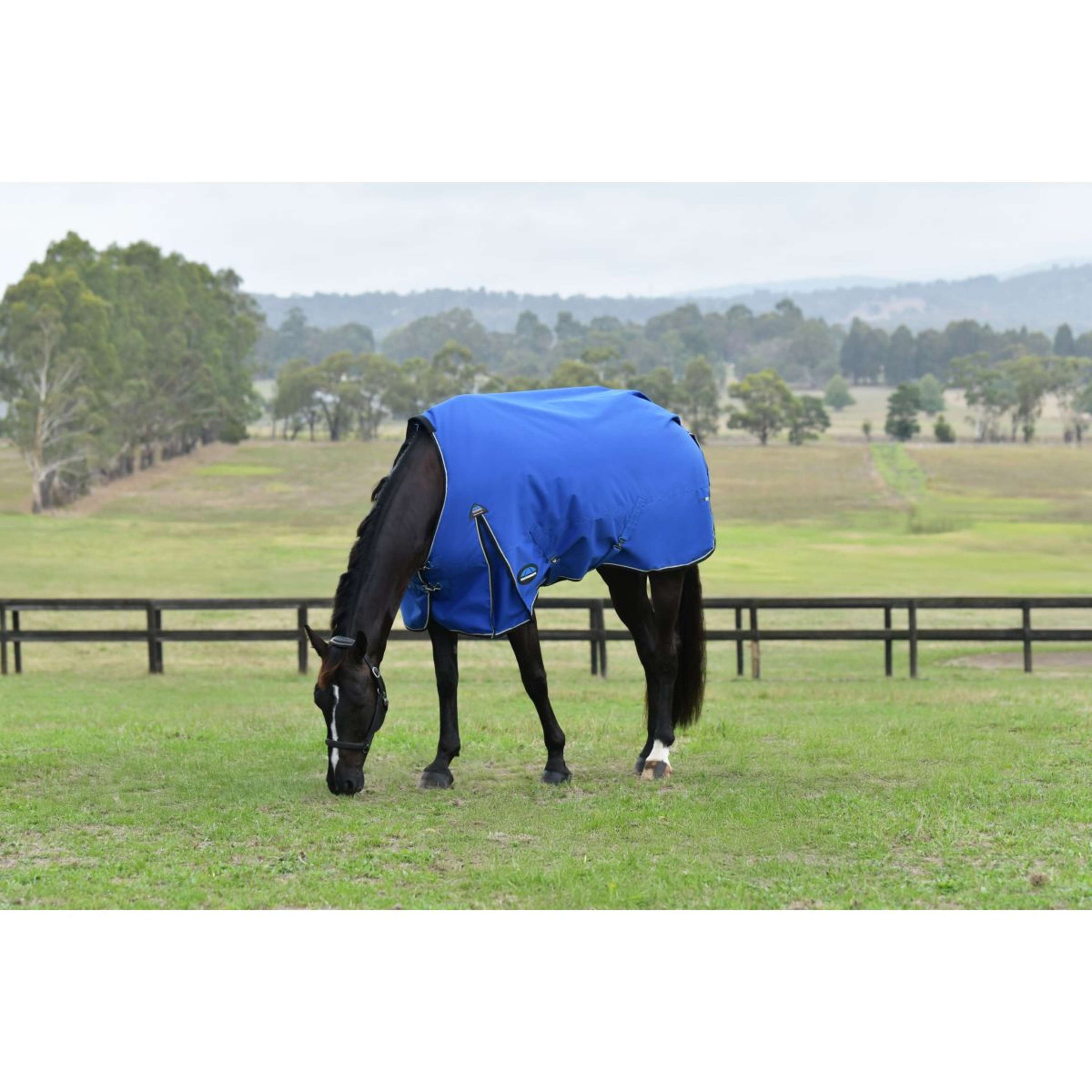 WeatherBeeta ComFiTec Essential Turnout 220g Kobalt/Zwart WeatherBeeta ComFiTec Essential Turnout 220g Kobalt/Zwart