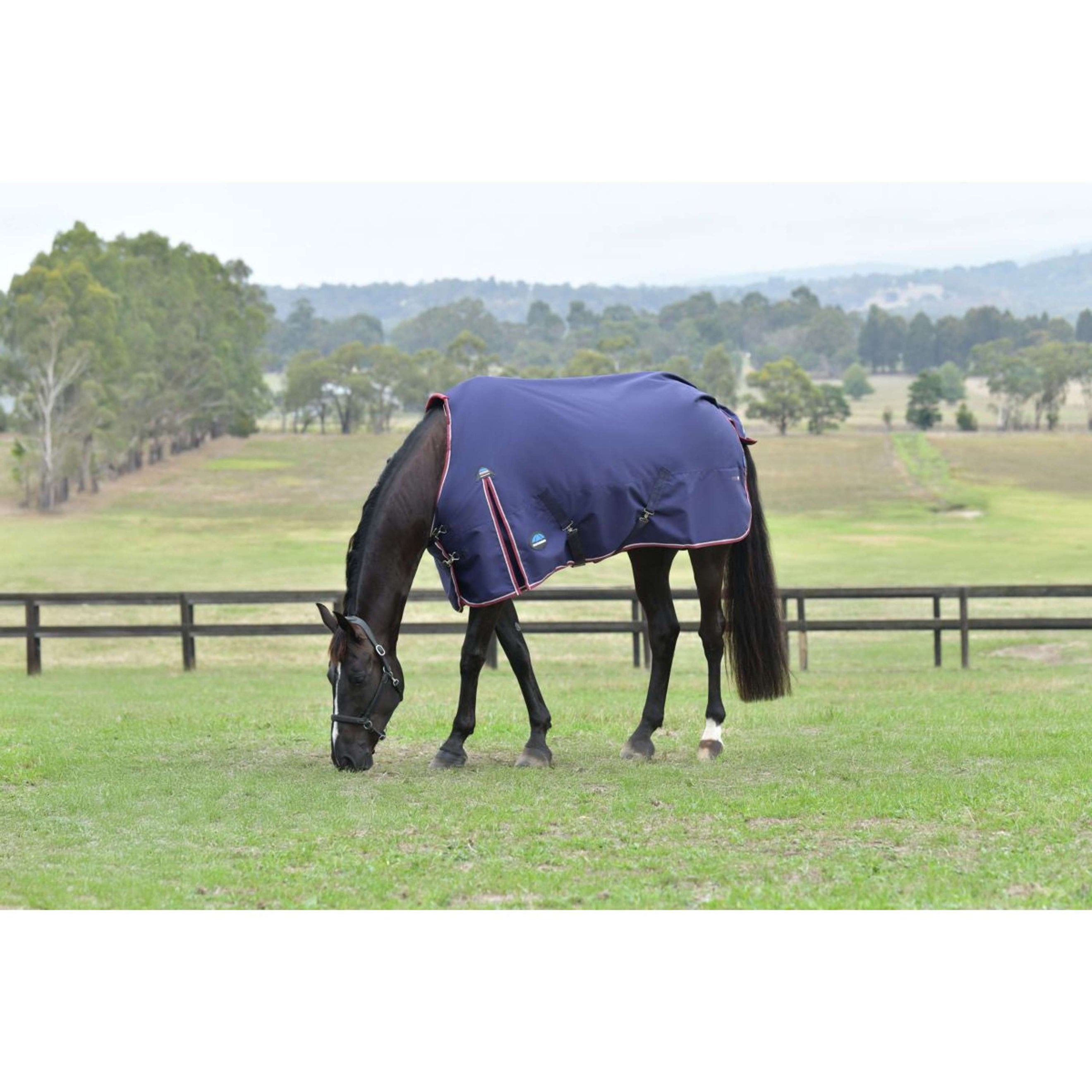 WeatherBeeta ComFiTec Essential Turnout 50g Navy/Burgundy WeatherBeeta ComFiTec Essential Turnout 50g Navy/Burgundy