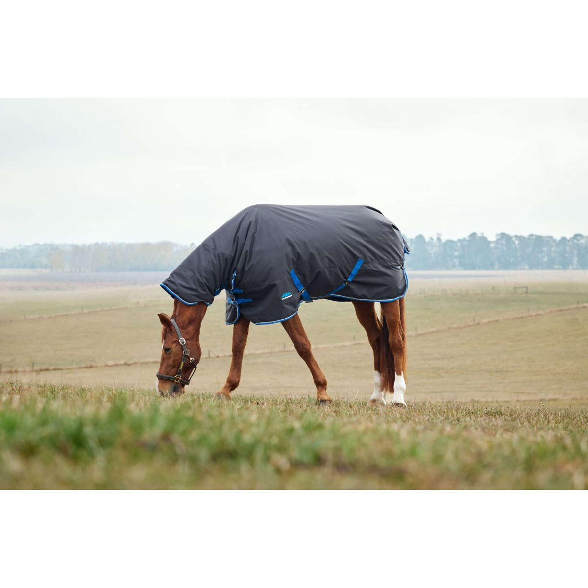 WeatherBeeta ComFiTec Tyro Turnout Combo Neck 220g Zwart/Kobalt