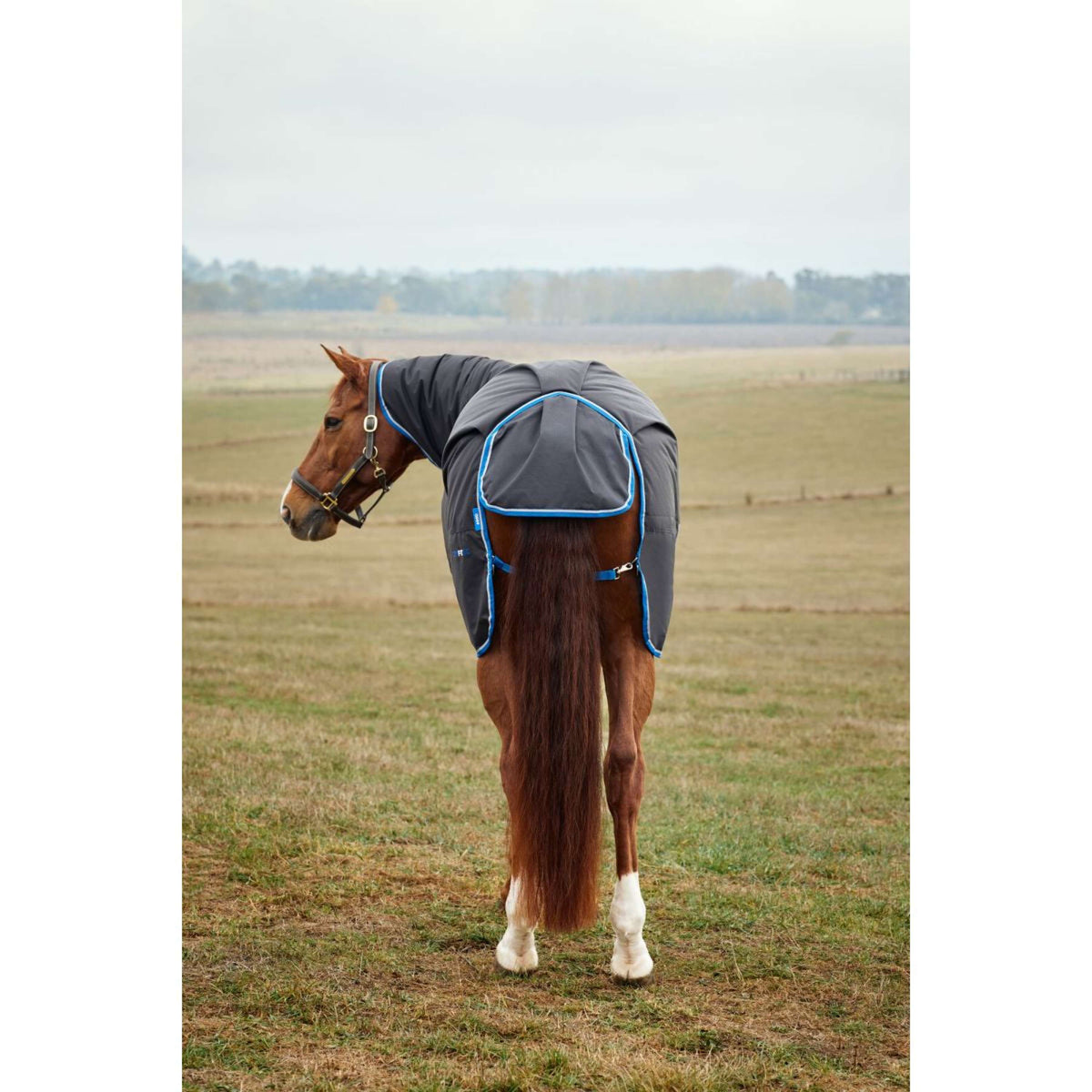 WeatherBeeta ComFiTec Tyro Turnout Combo Neck 220g Zwart/Kobalt